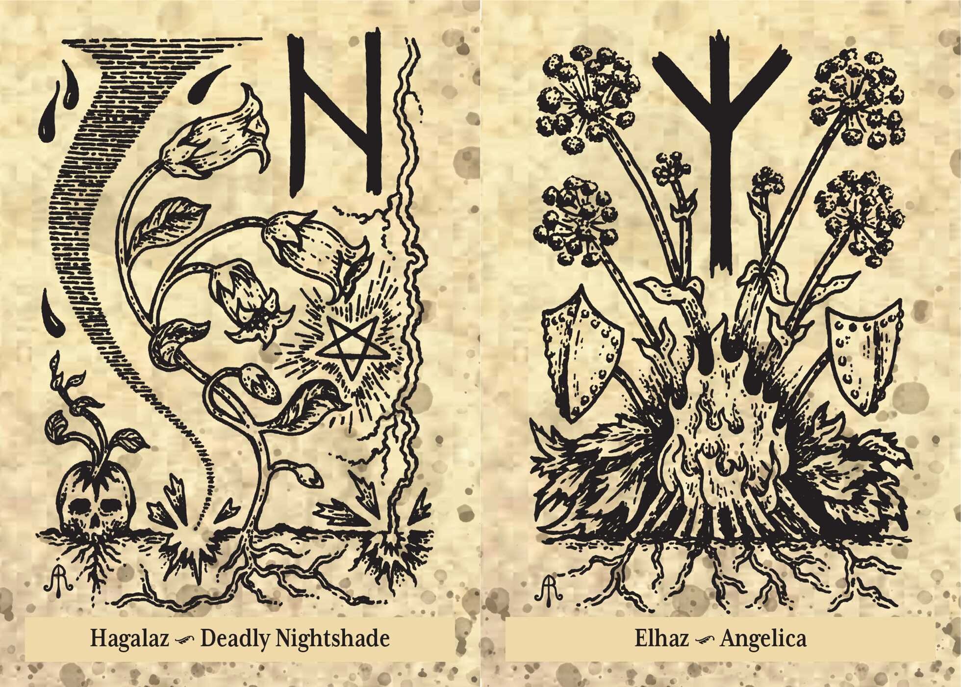 Runes and Roots Oracle