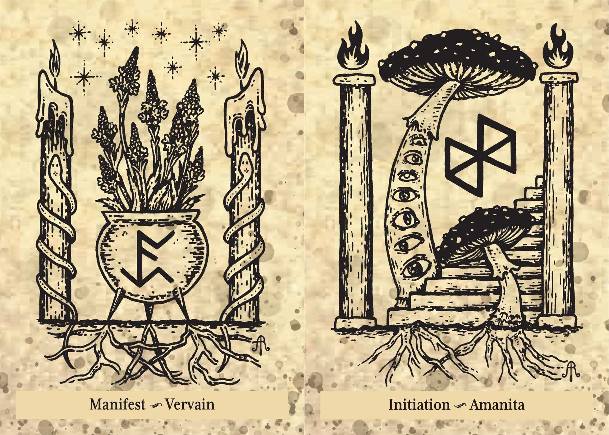 Runes and Roots Oracle