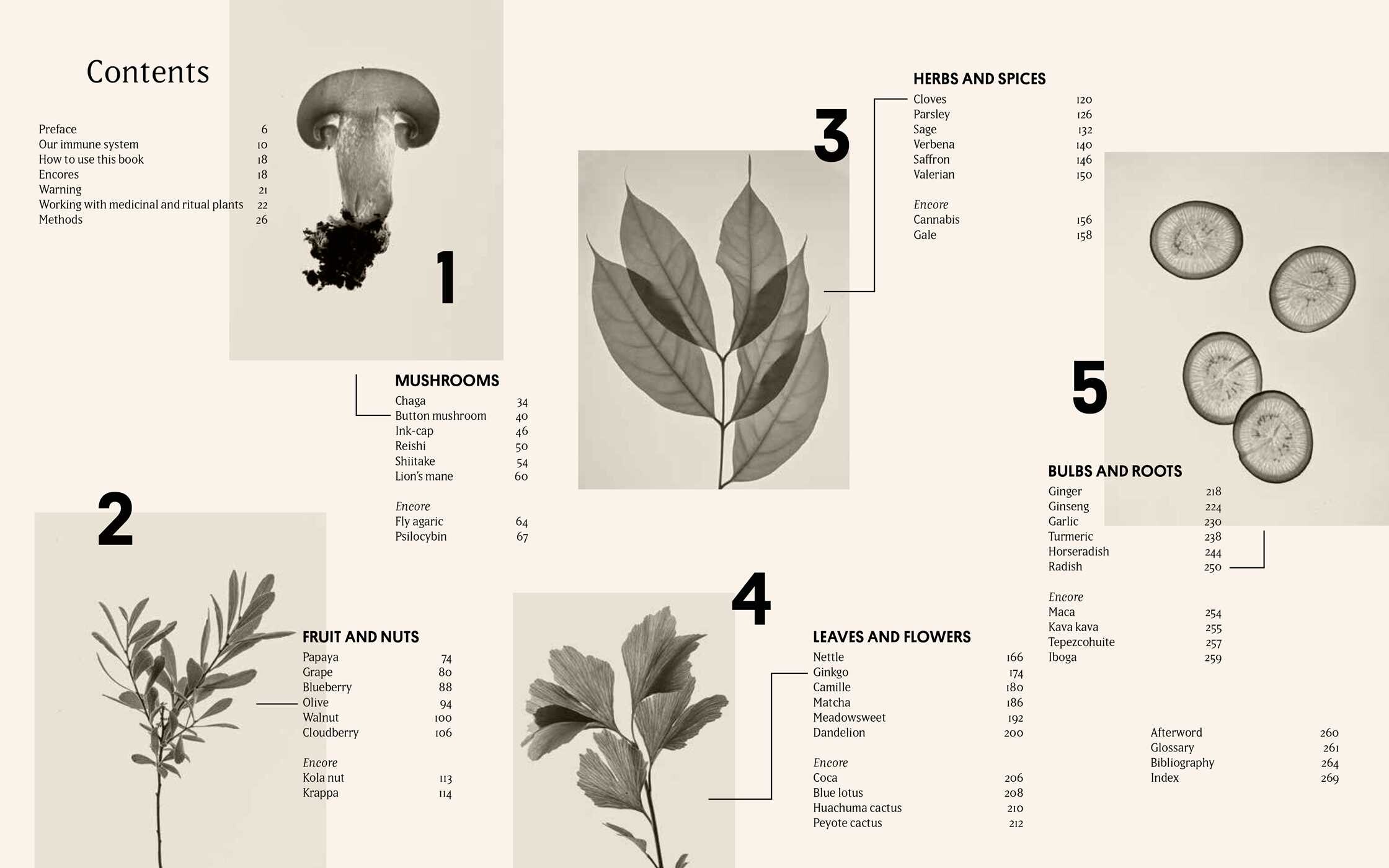 Plant Power