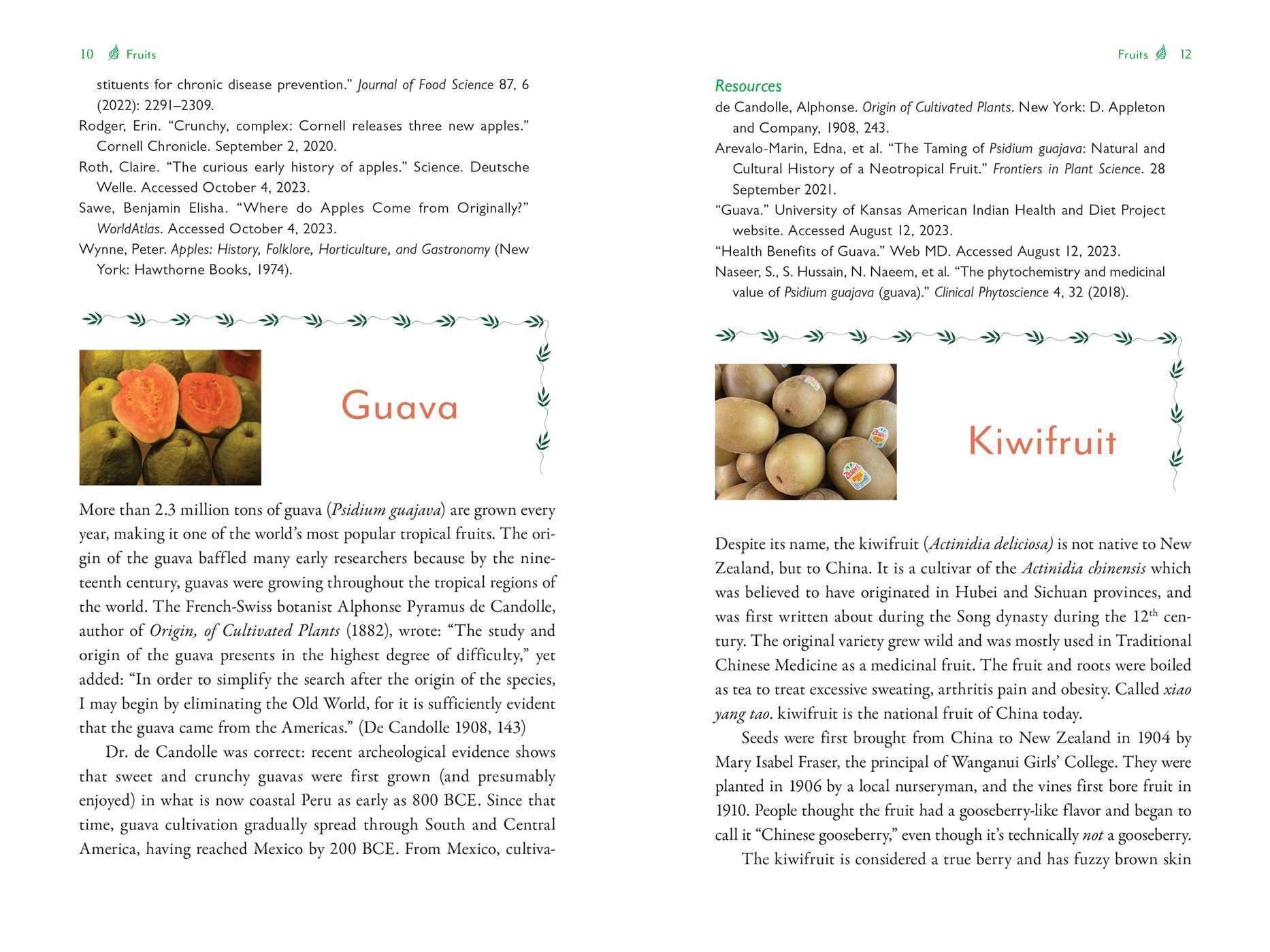 Genealogy of Plant Foods