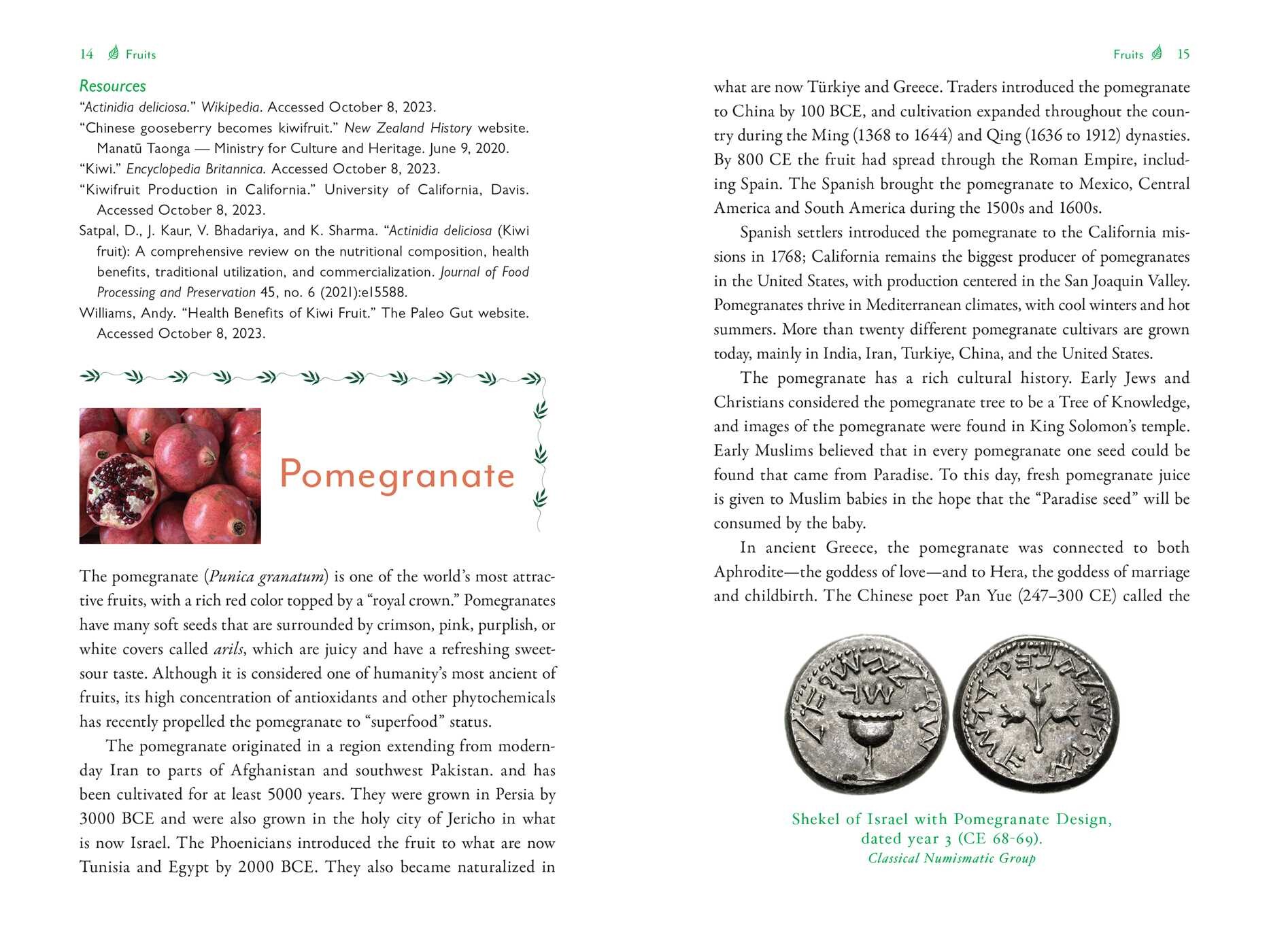 Genealogy of Plant Foods