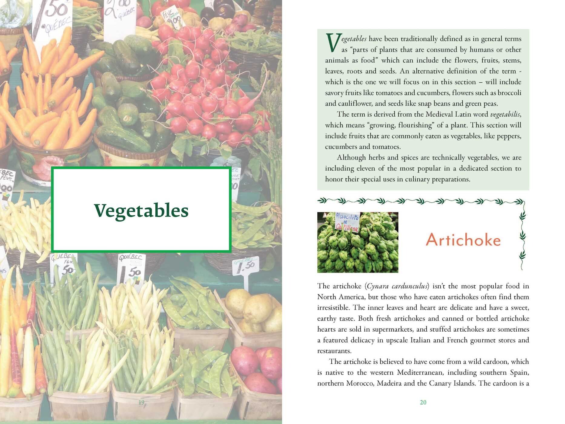 Genealogy of Plant Foods