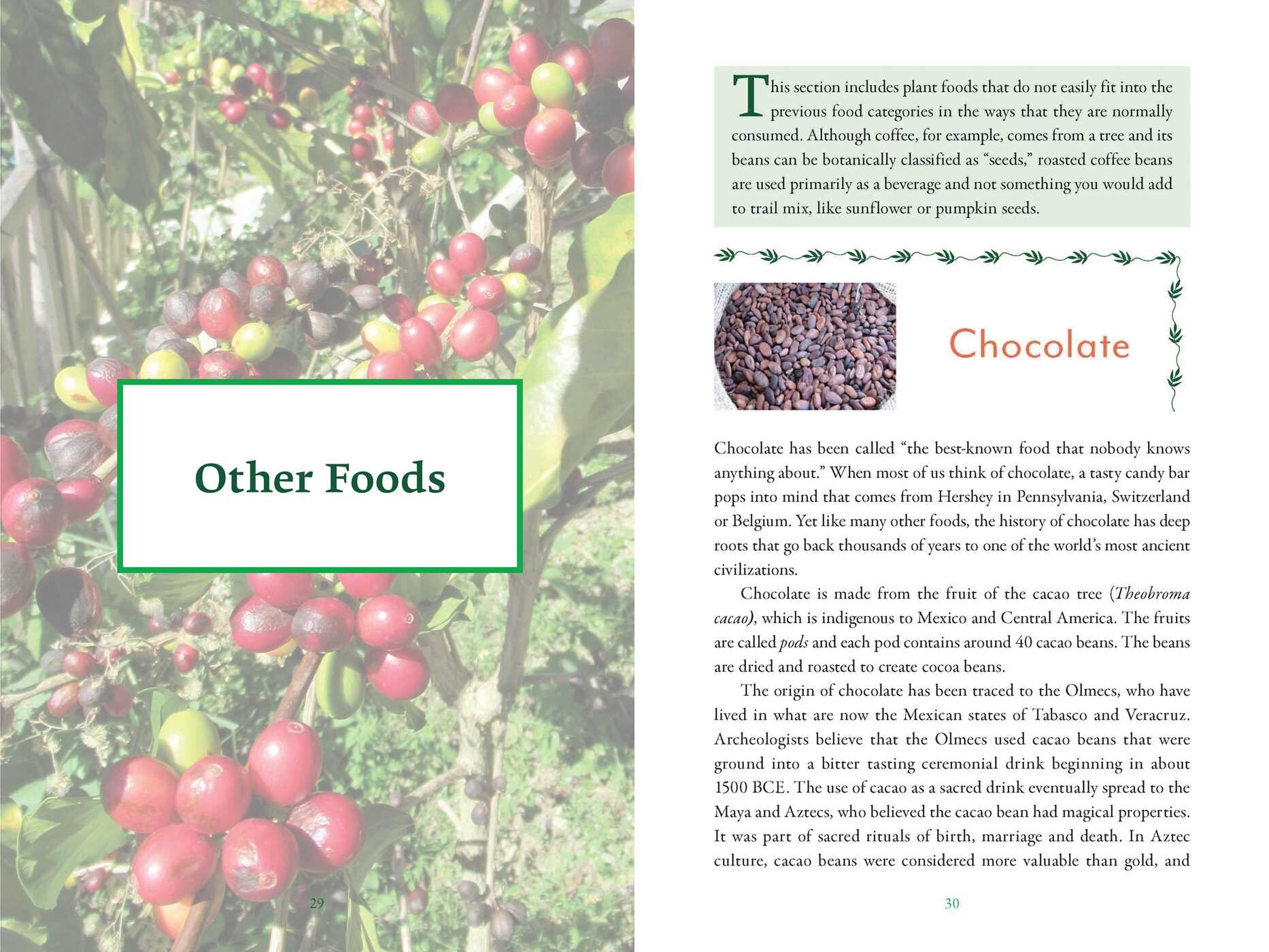 Genealogy of Plant Foods