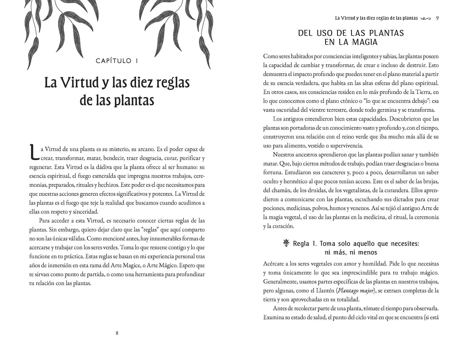 Recetario de la Bruja Verde