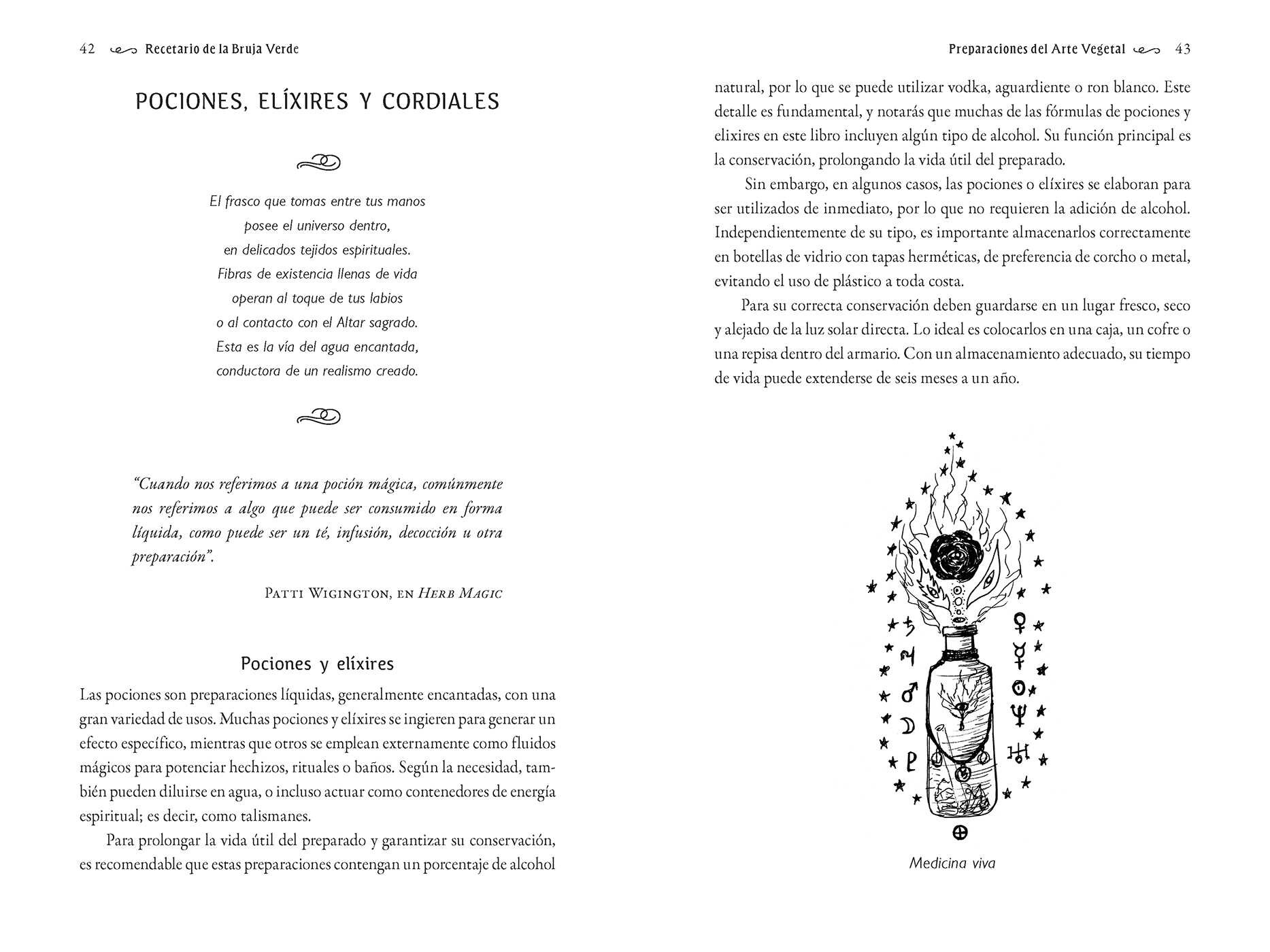 Recetario de la Bruja Verde