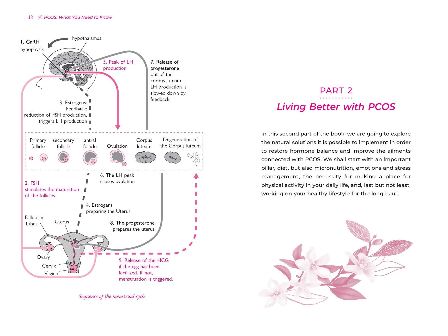 Take Control of Your PCOS