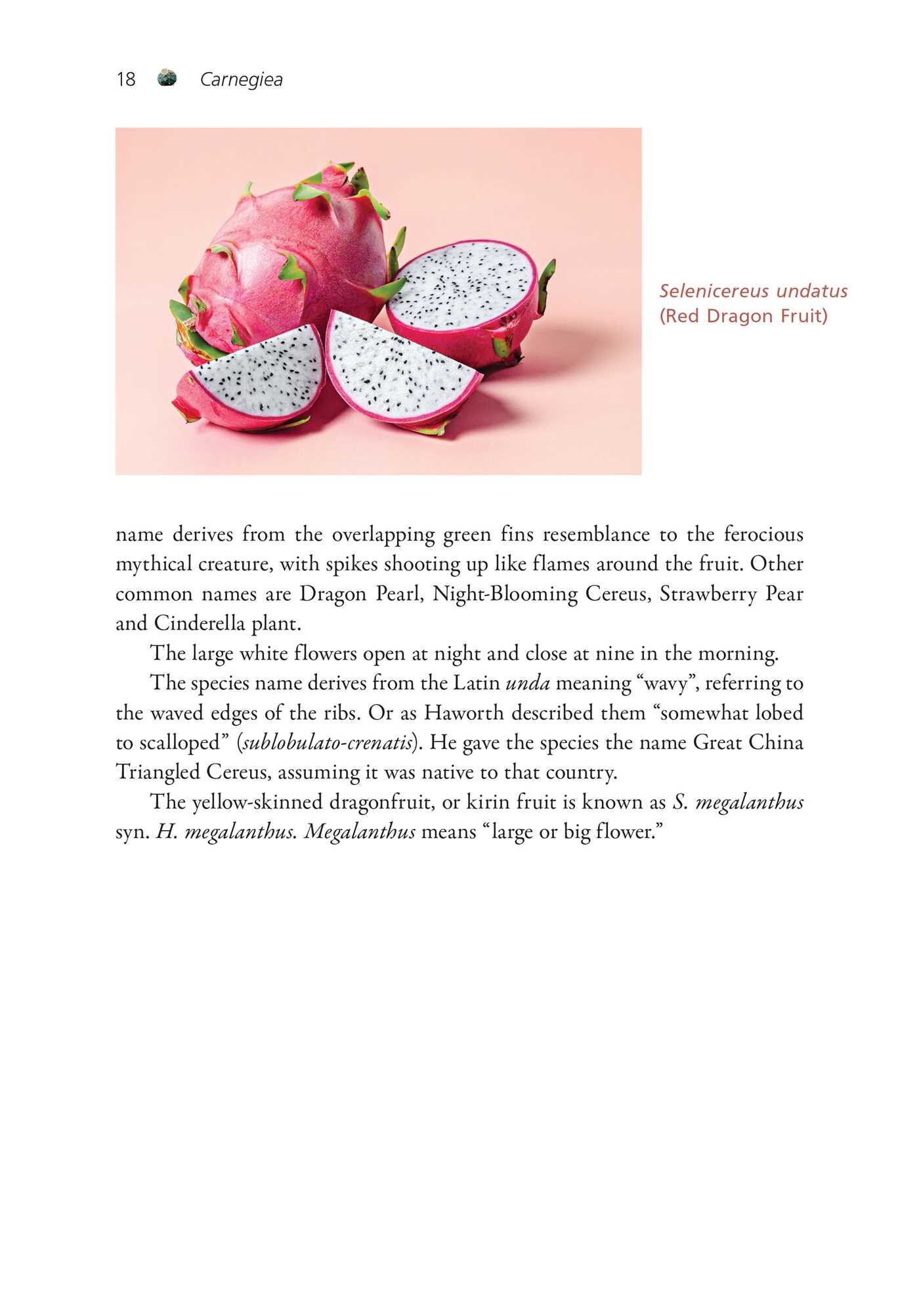 Cactus Medicine