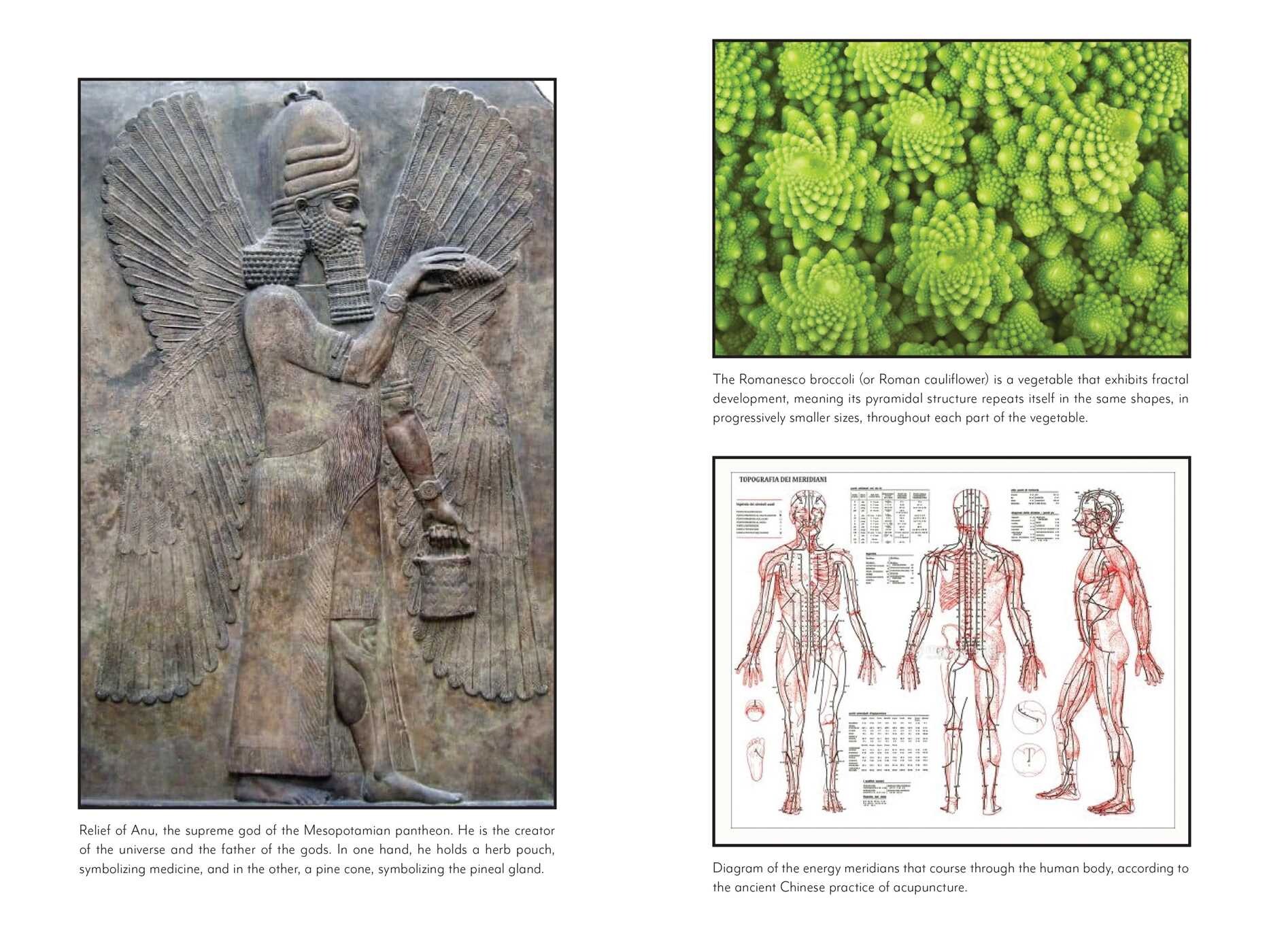 Awakening the Pineal Gland