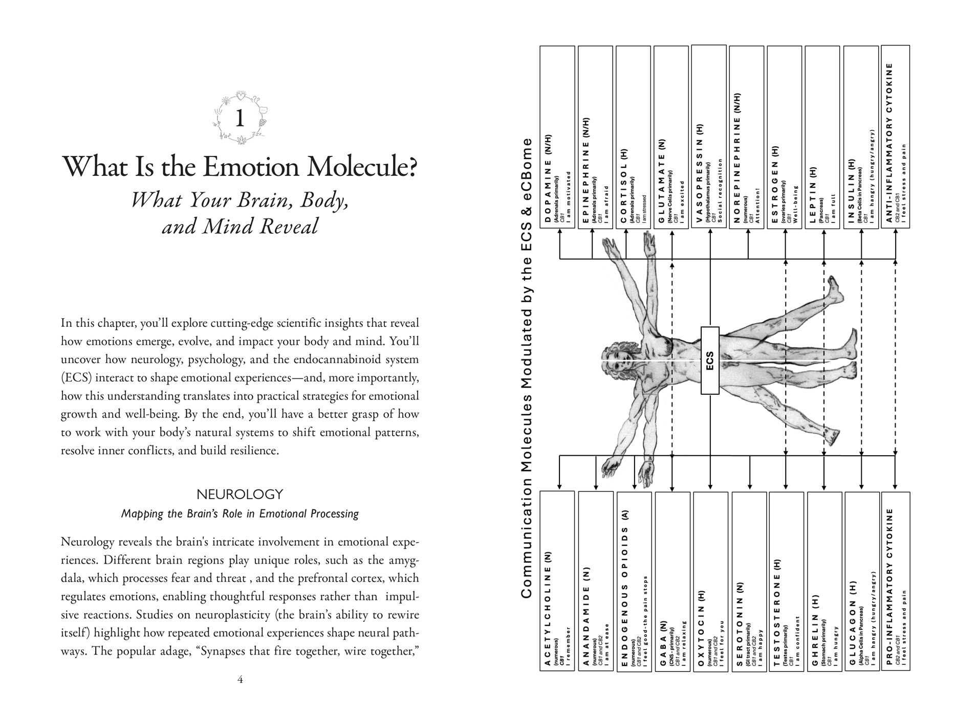 Emotion Molecule
