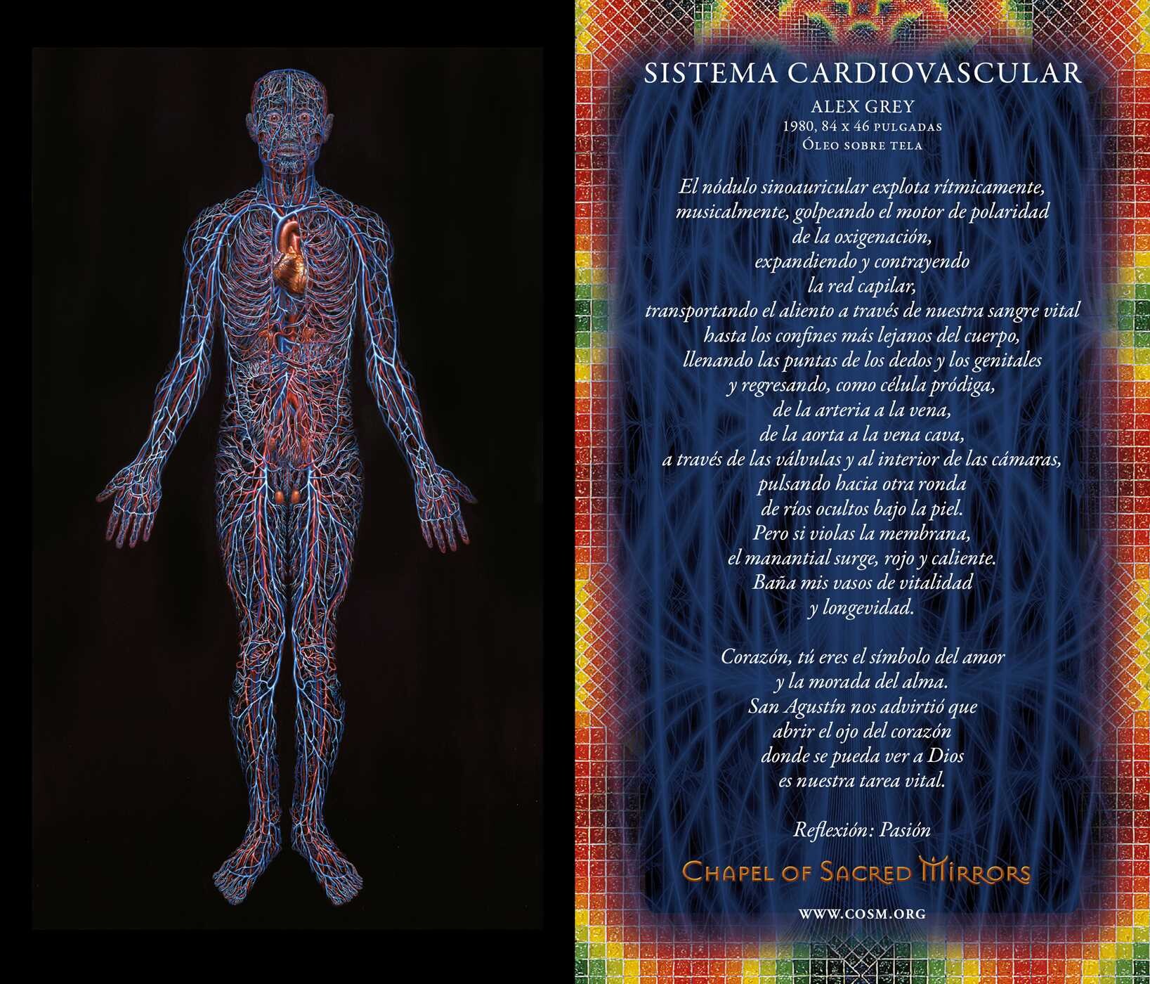 Cartas de los Espejos Sagrados