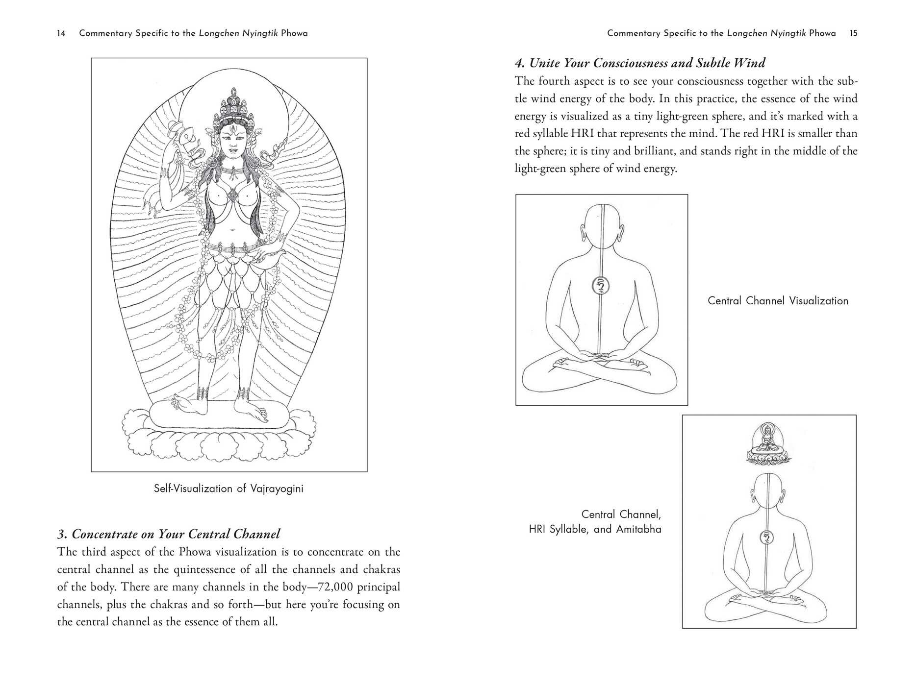 Tibetan Buddhist Practice of Phowa