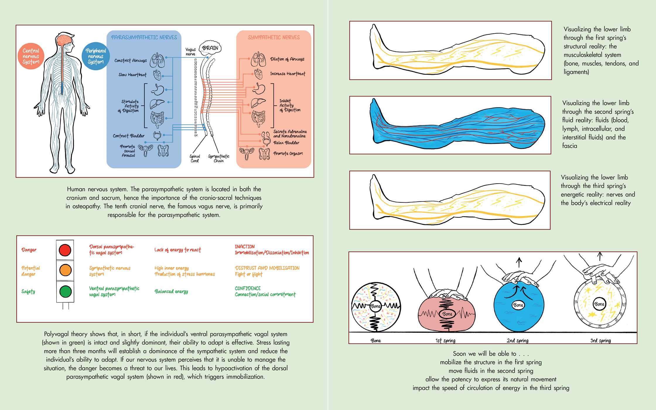 Thai Massage and Osteopathy