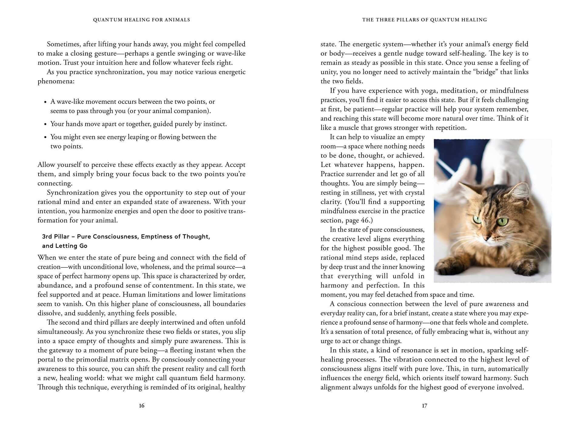 Quantum Healing for Animals