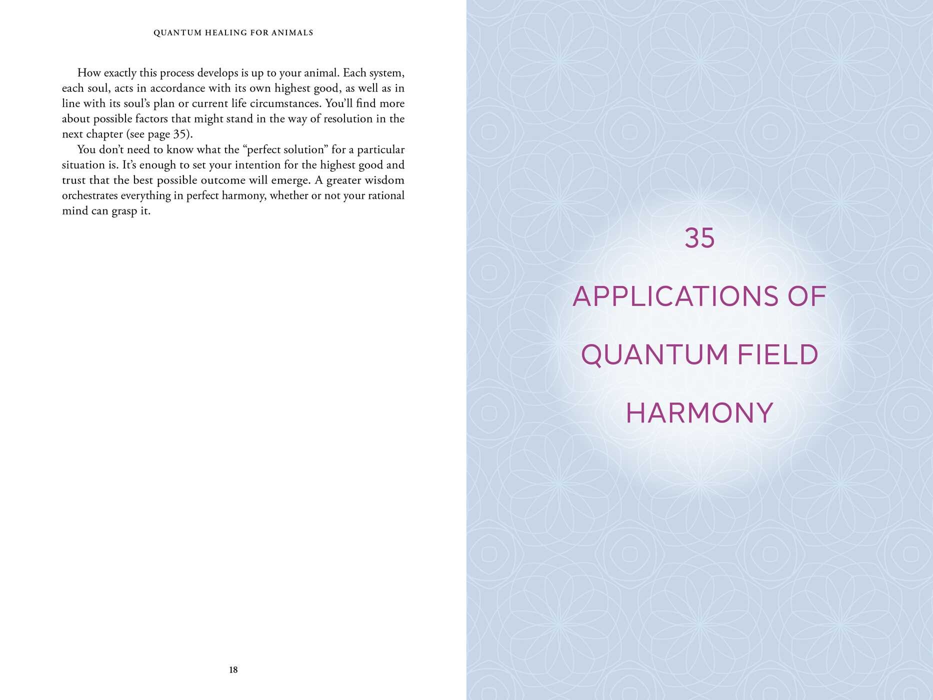 Quantum Healing for Animals