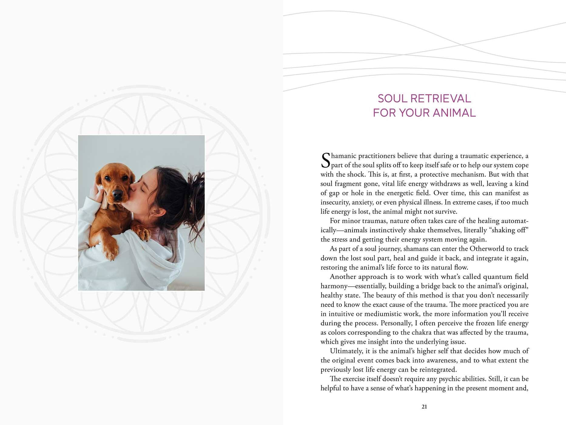 Quantum Healing for Animals