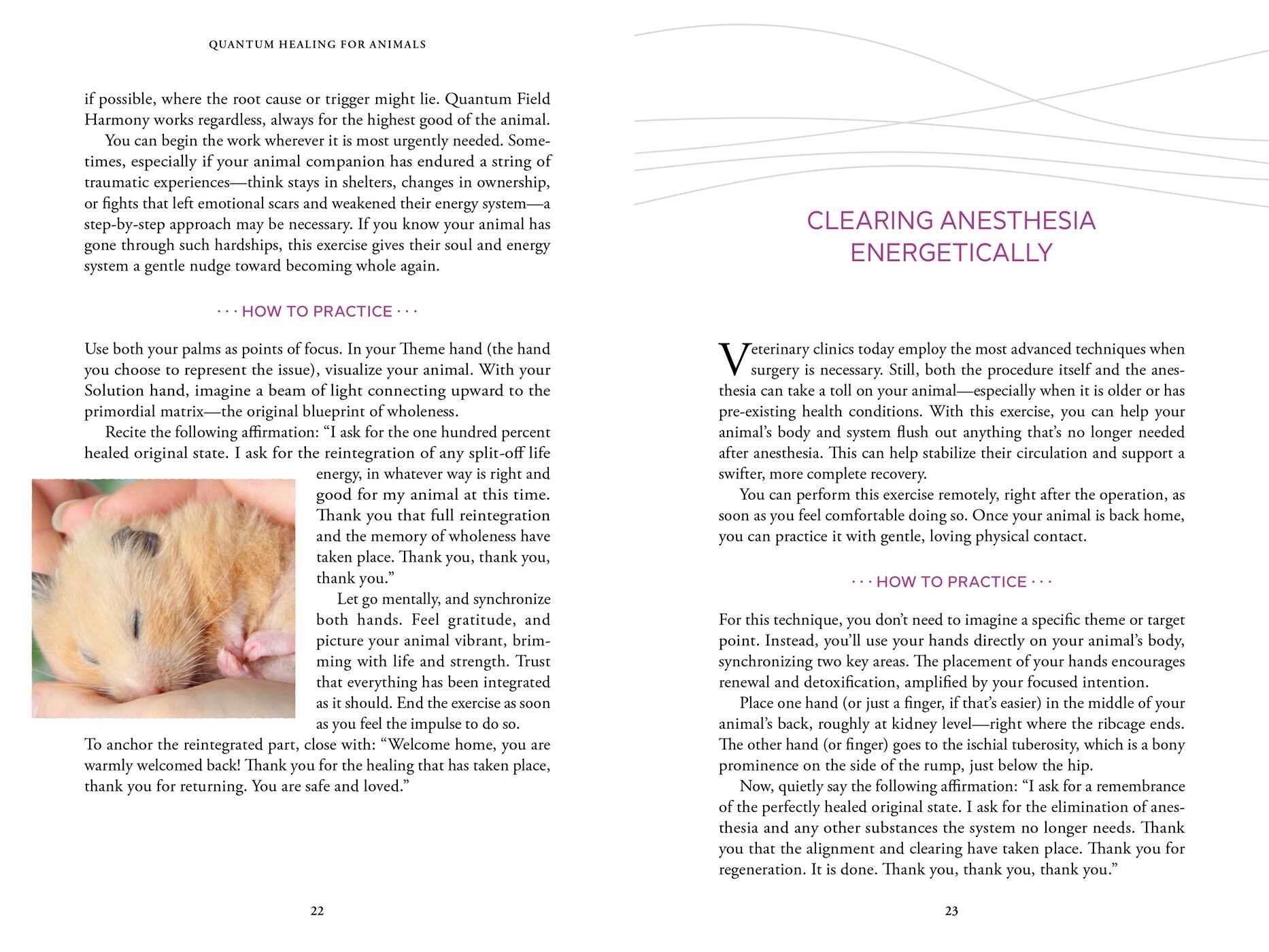 Quantum Healing for Animals
