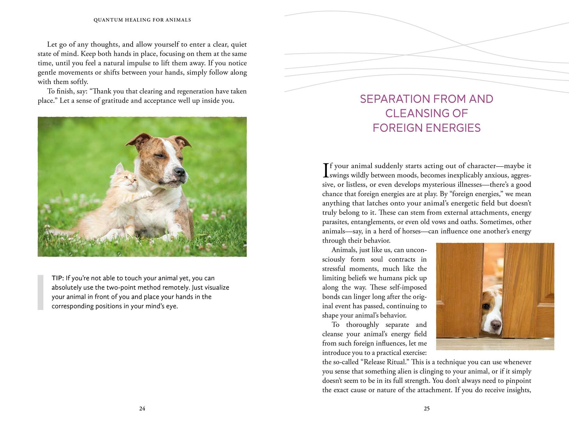 Quantum Healing for Animals