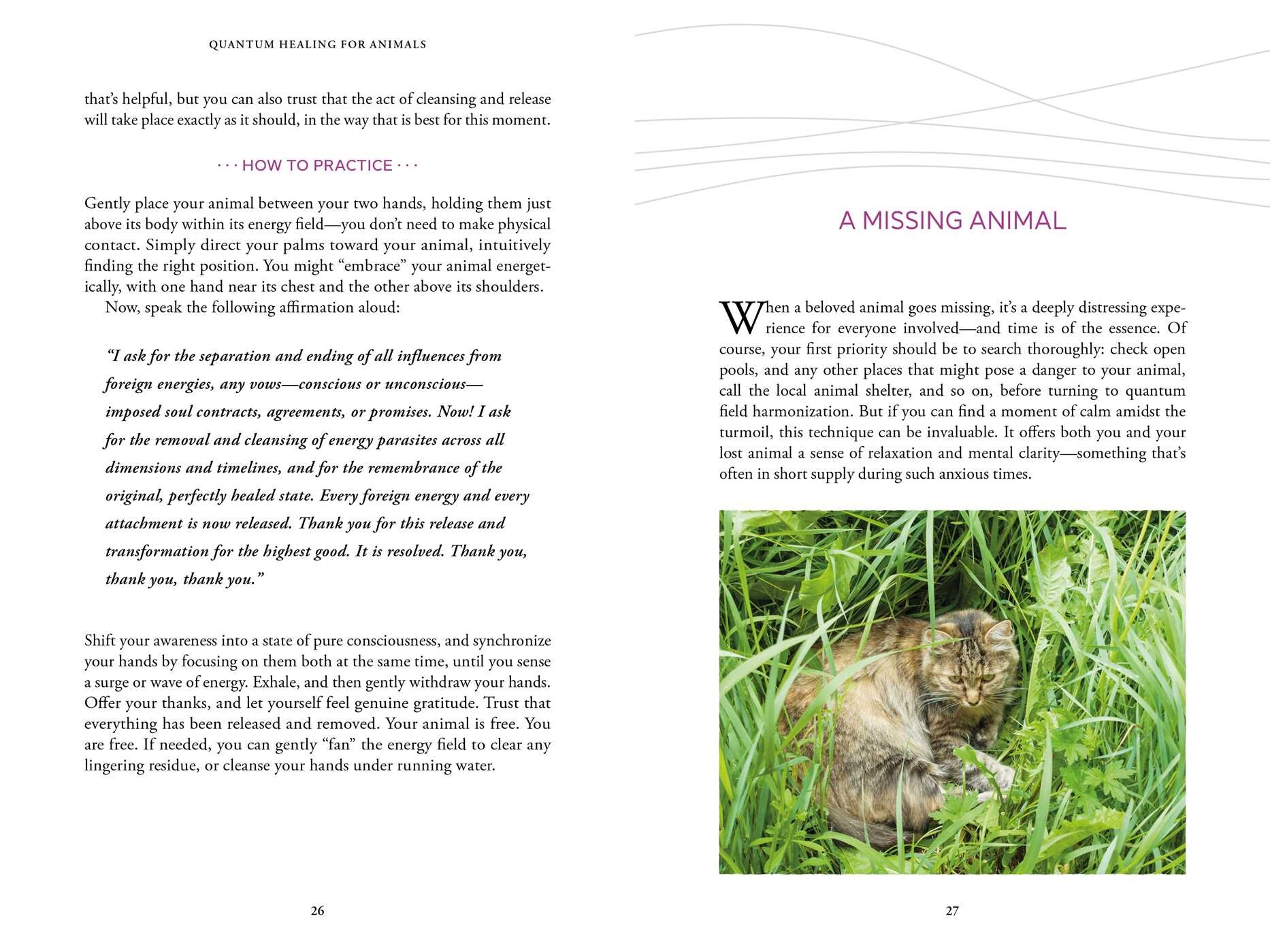 Quantum Healing for Animals