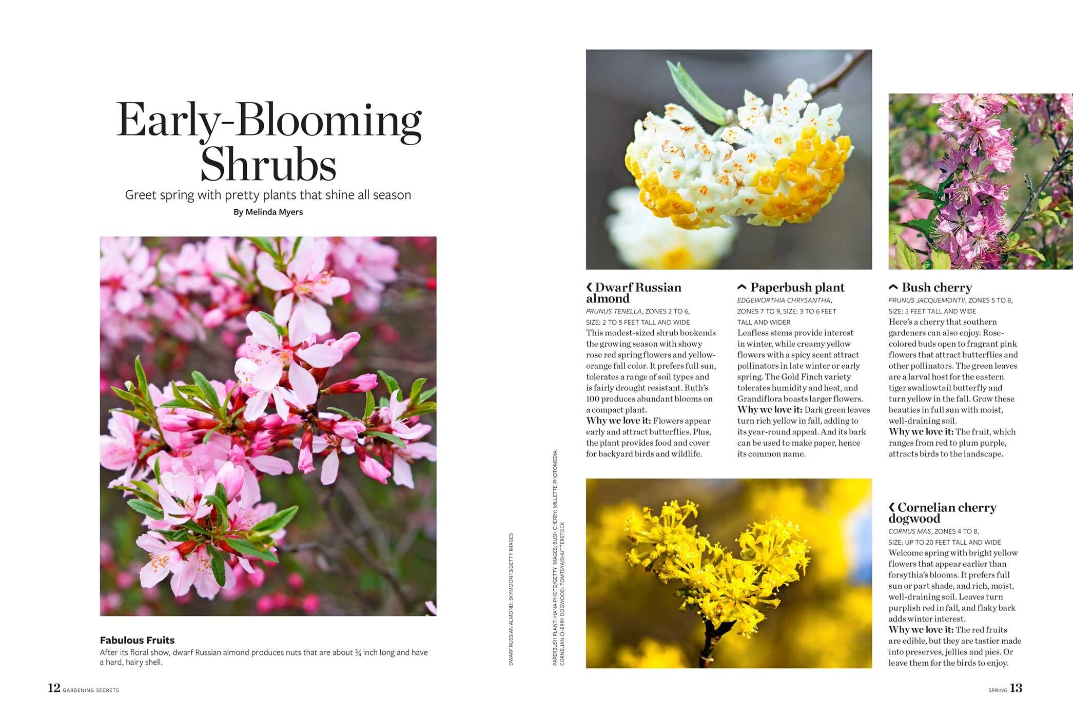 Birds & Blooms Gardening Secrets