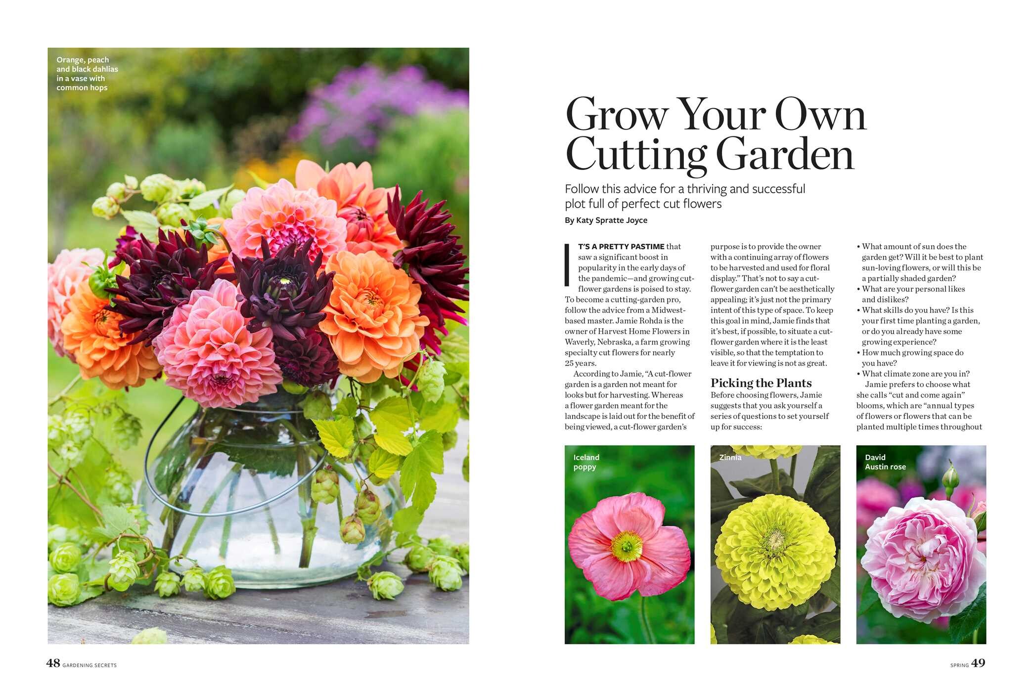 Birds & Blooms Gardening Secrets