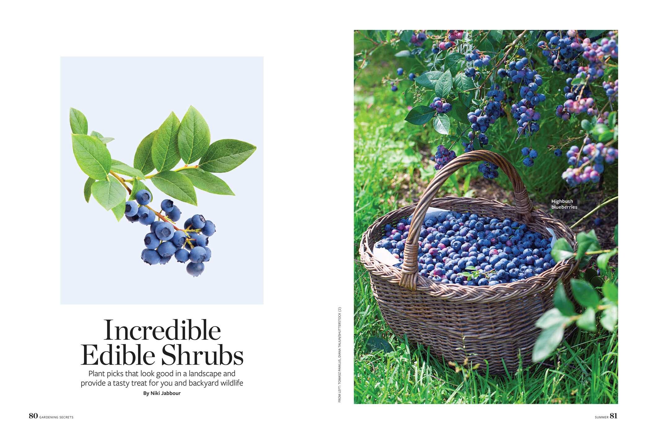 Birds & Blooms Gardening Secrets