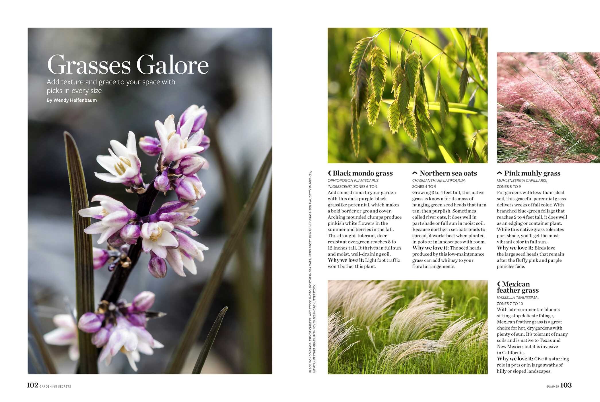 Birds & Blooms Gardening Secrets
