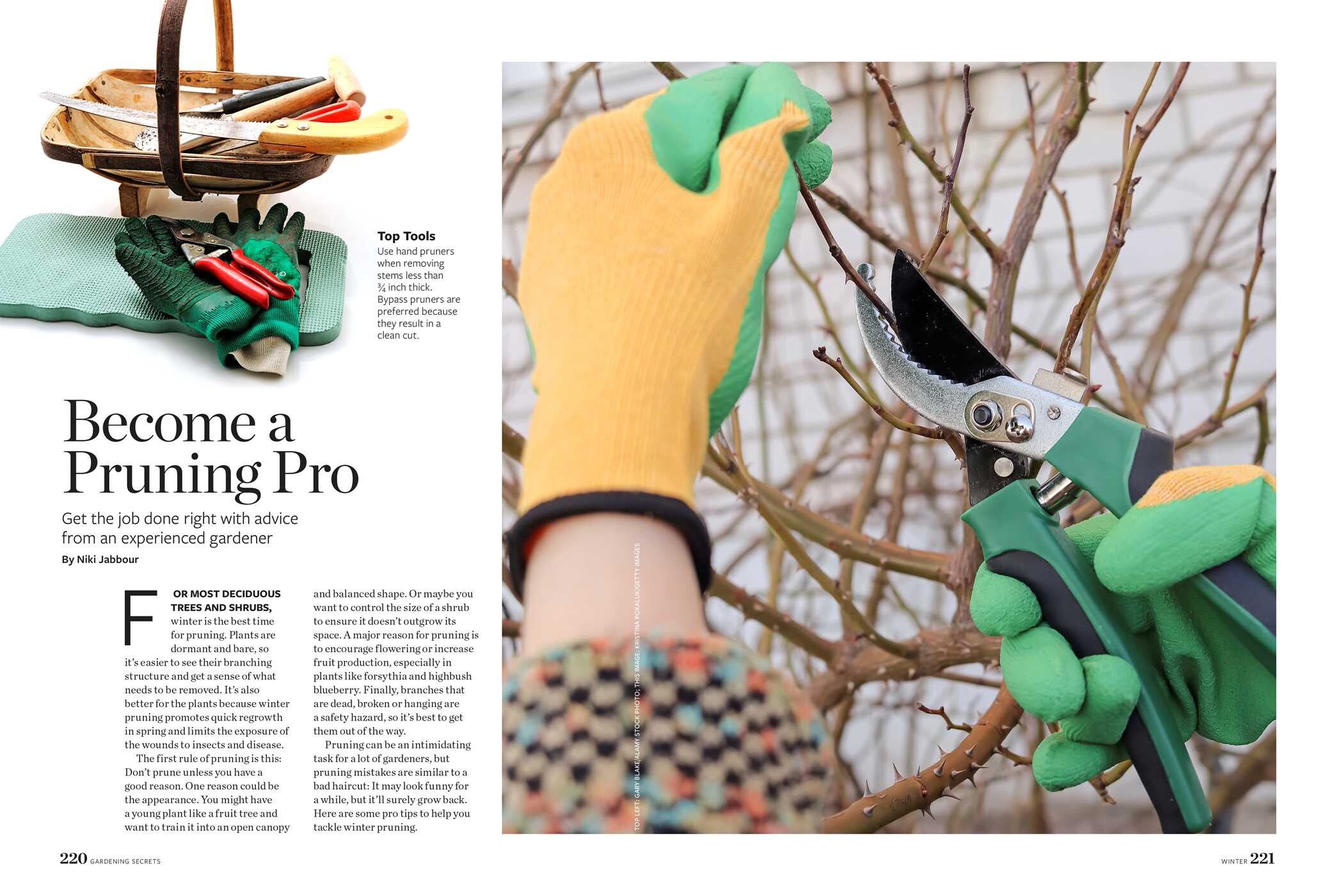 Birds & Blooms Gardening Secrets