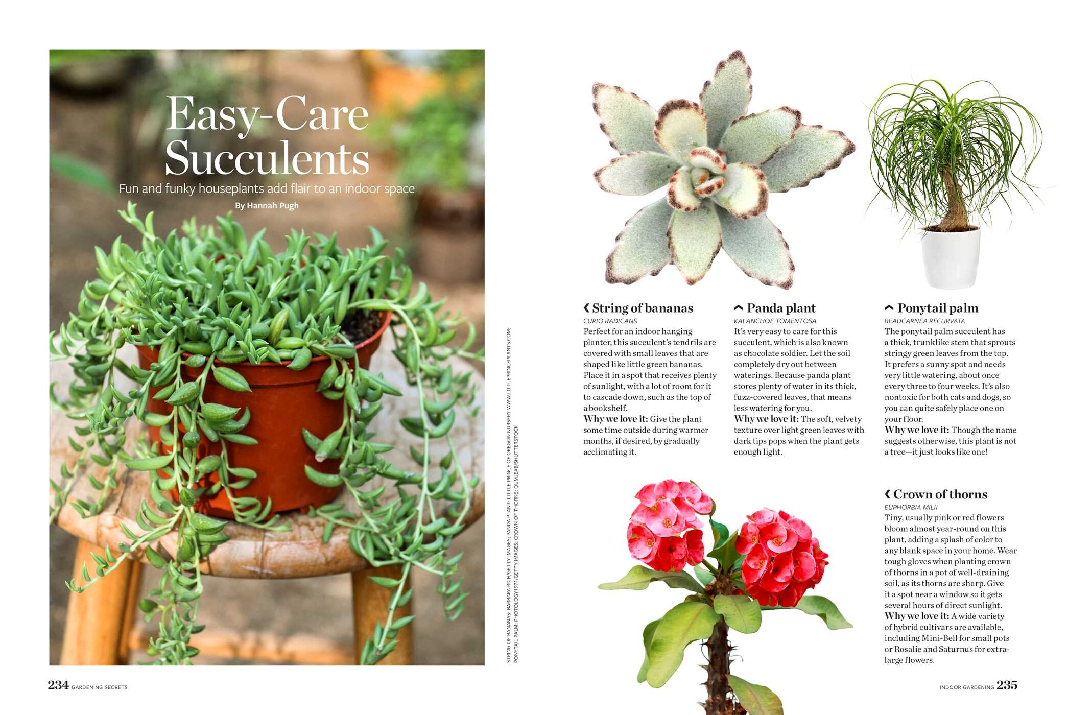 Birds & Blooms Gardening Secrets