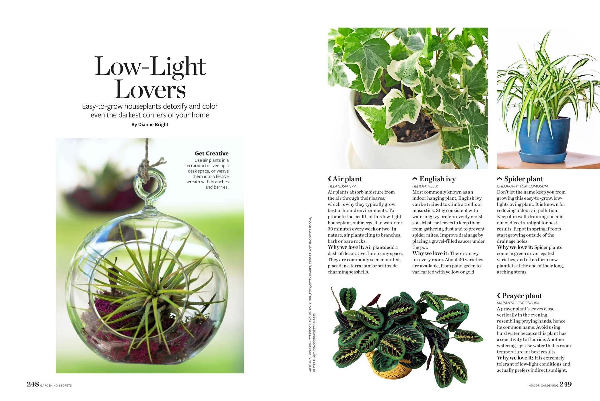 Birds & Blooms Gardening Secrets