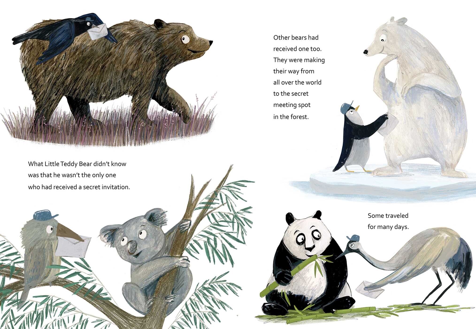 Bear Circle