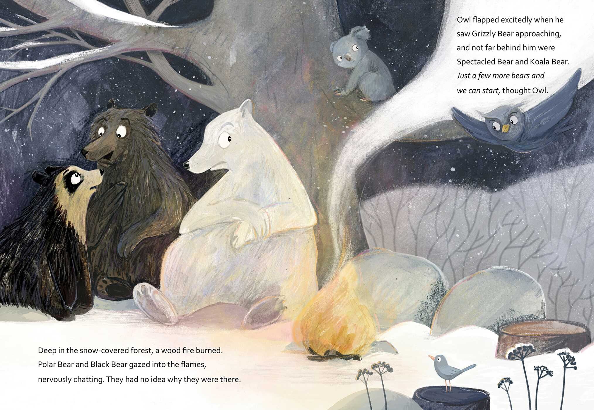 Bear Circle