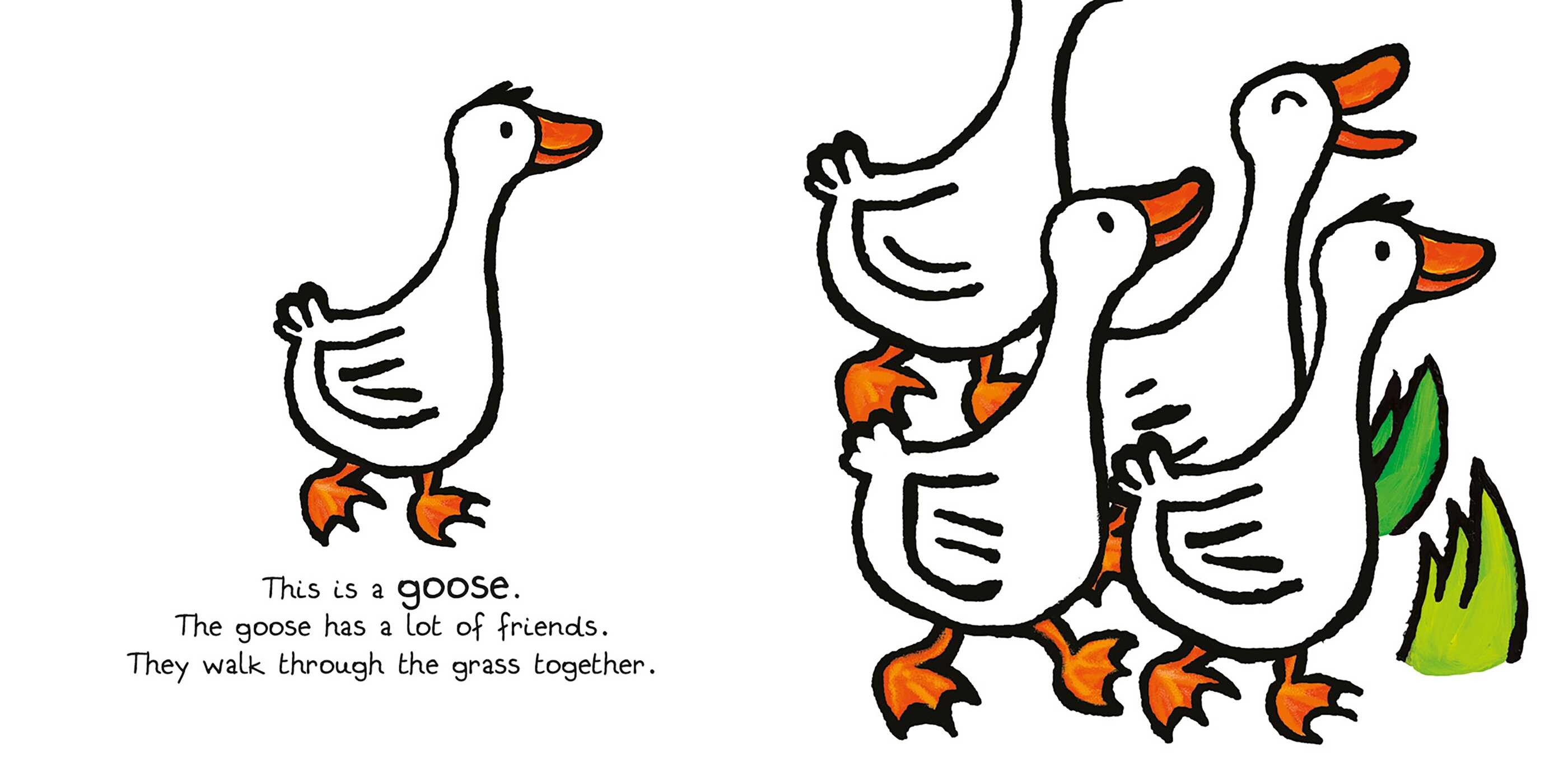 Farm Animals