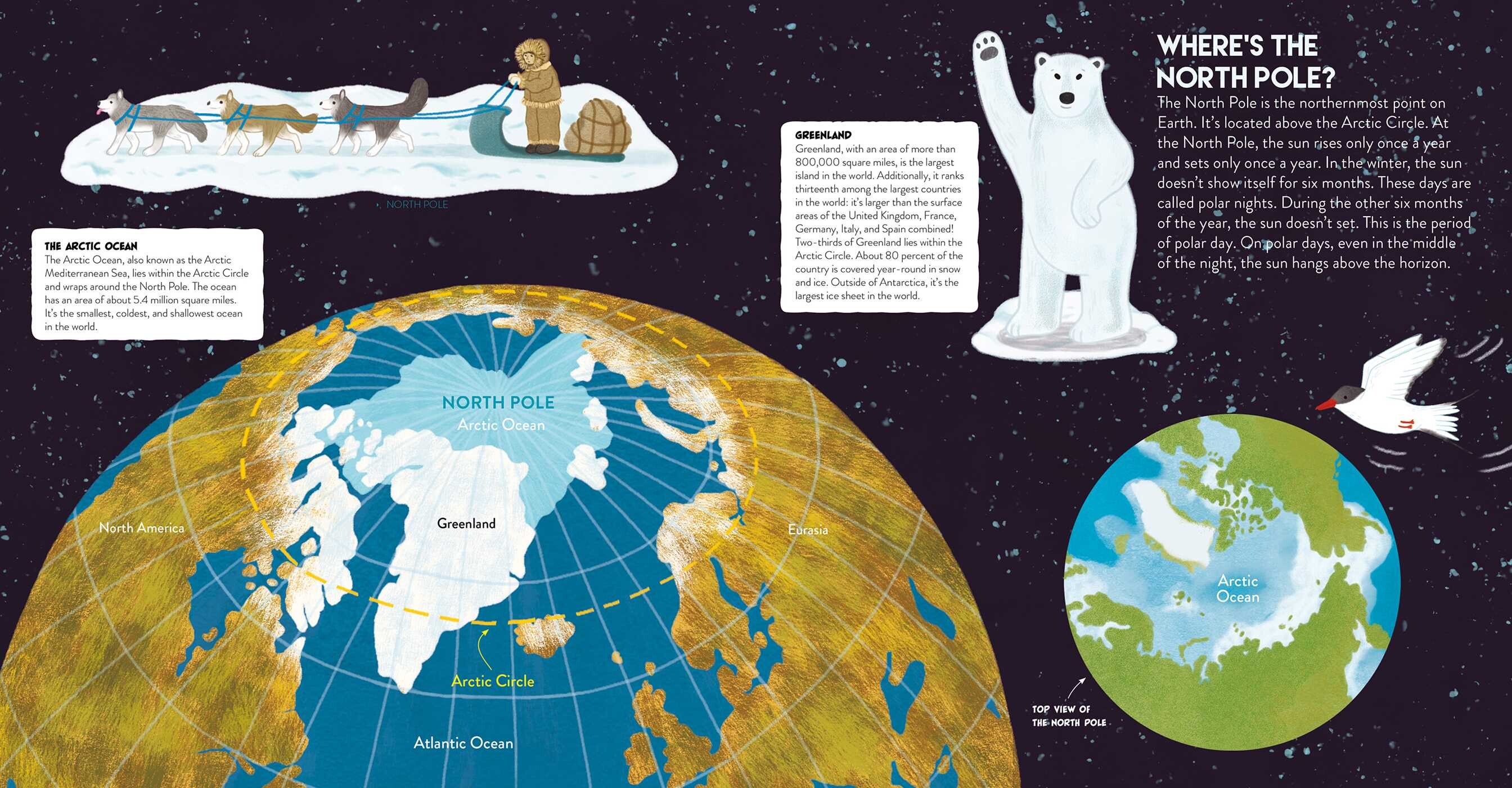South Pole and the North Pole