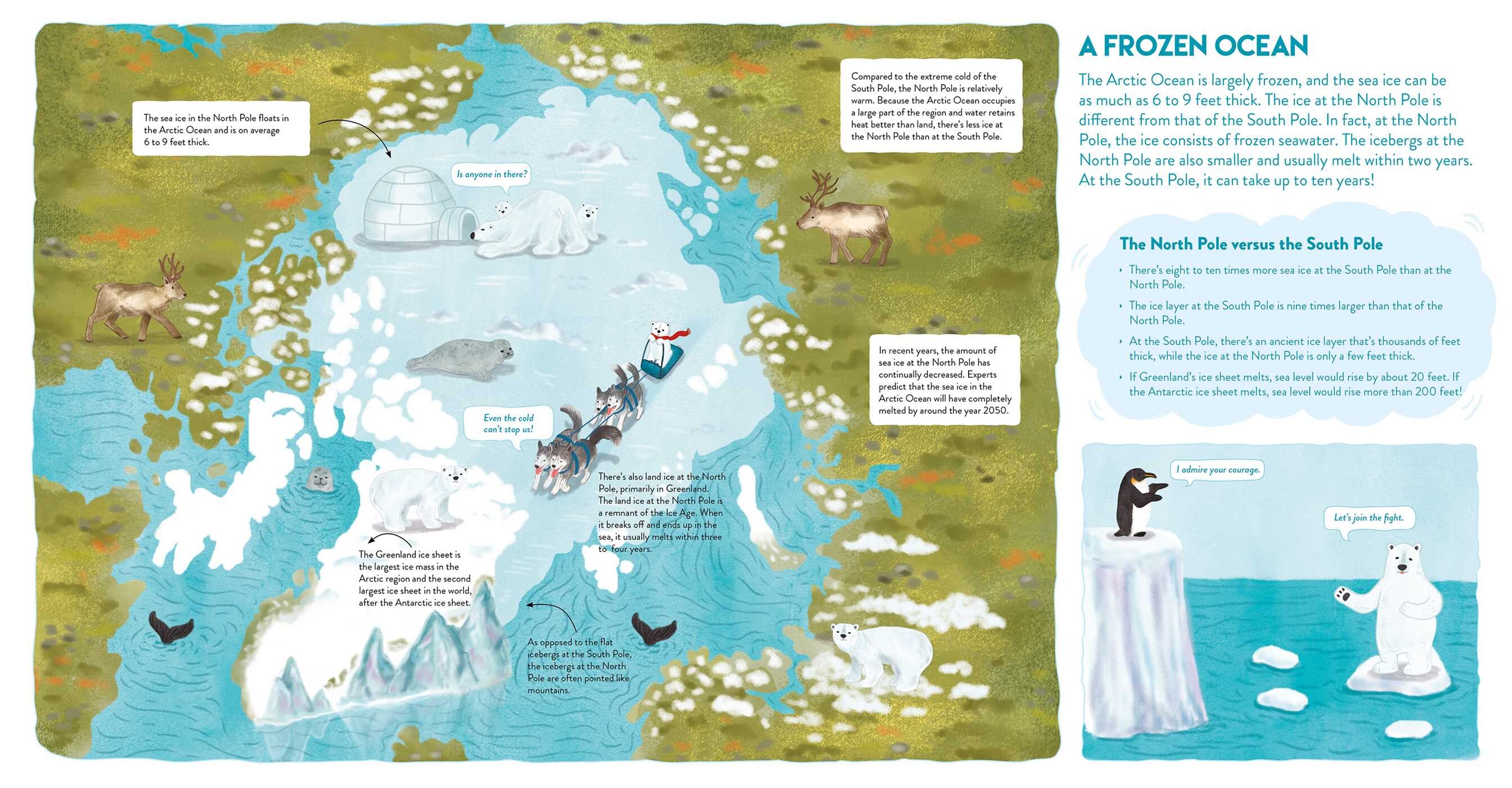 South Pole and the North Pole