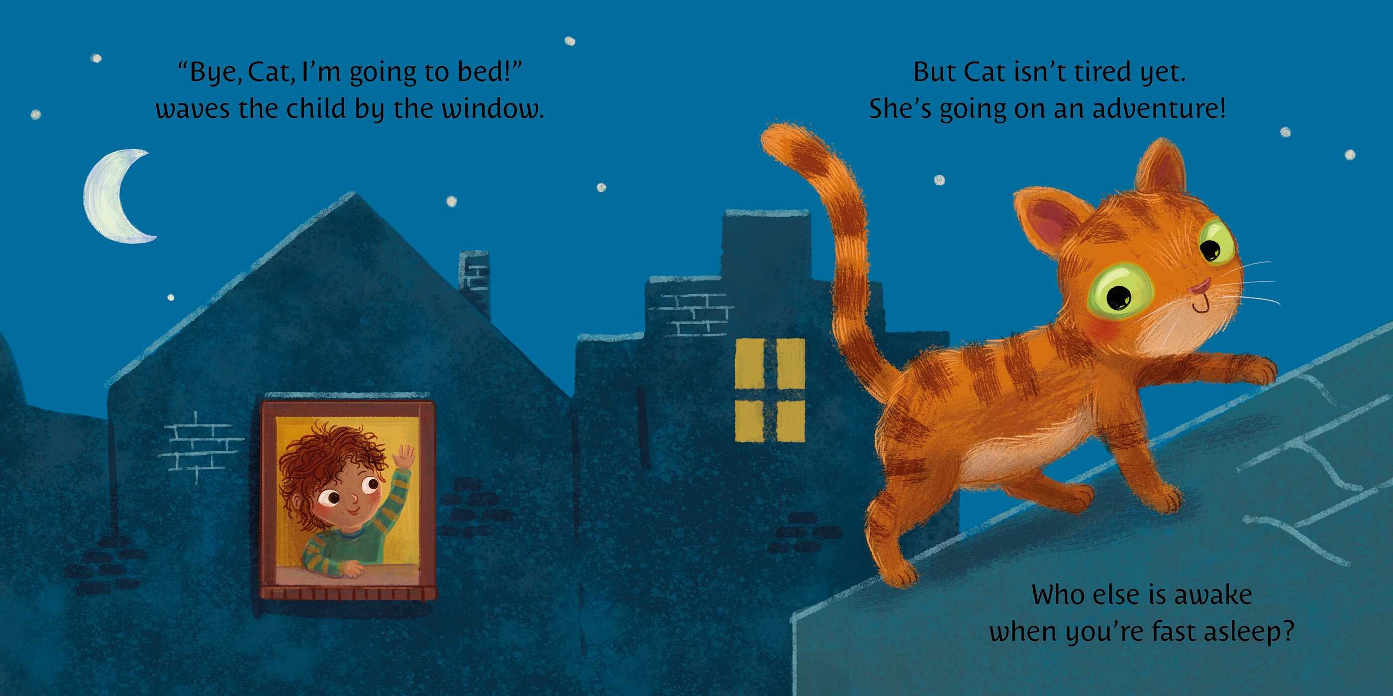 Night Full of Animals