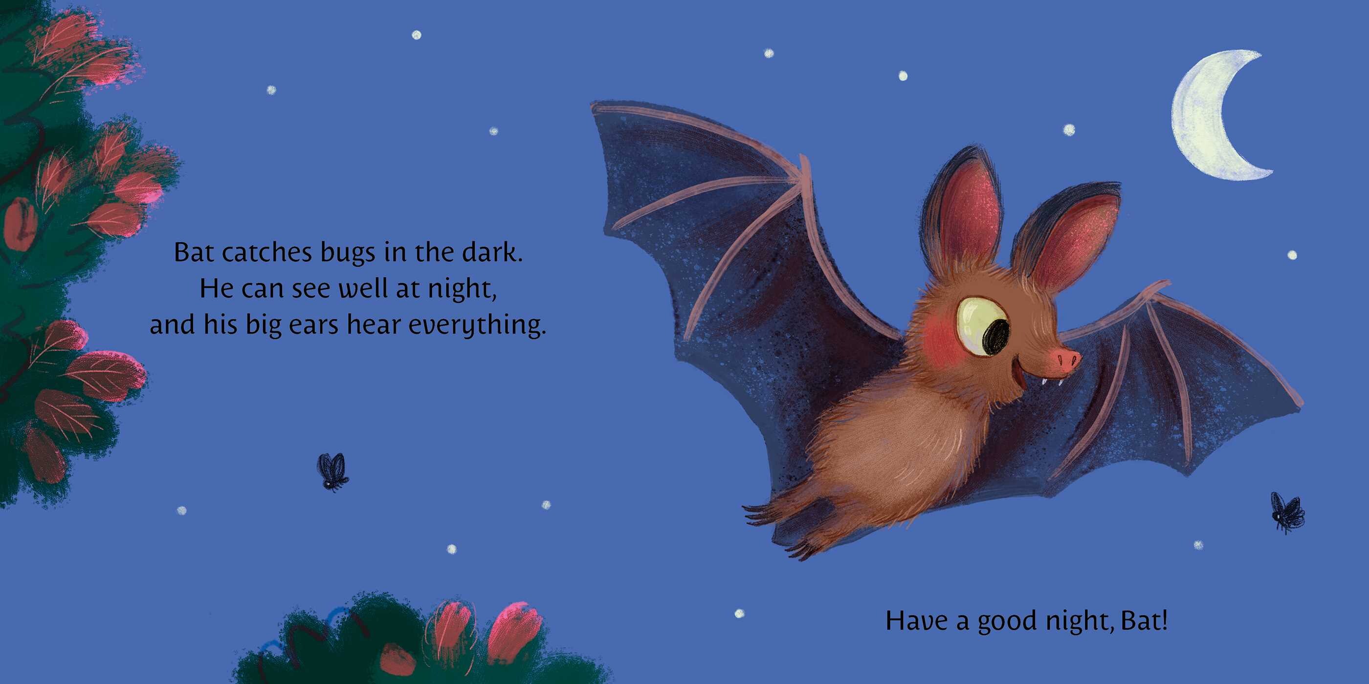 Night Full of Animals