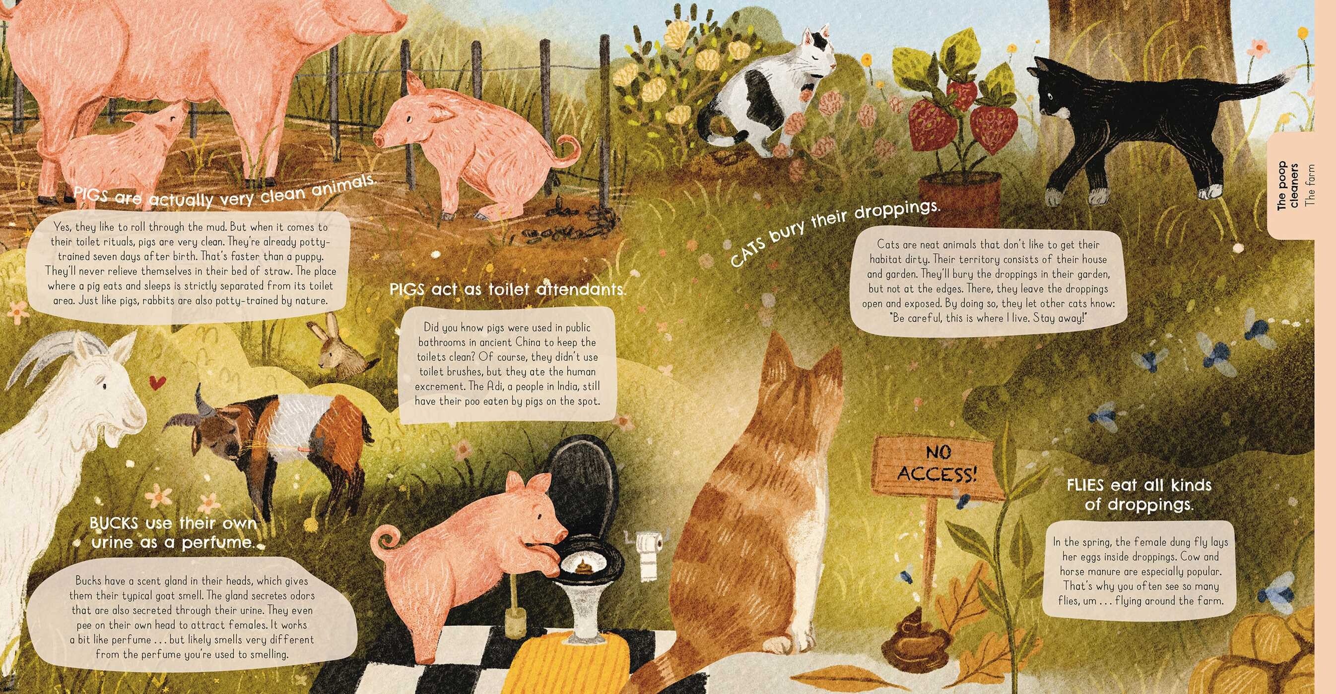 Animals and Their Toilet Rituals