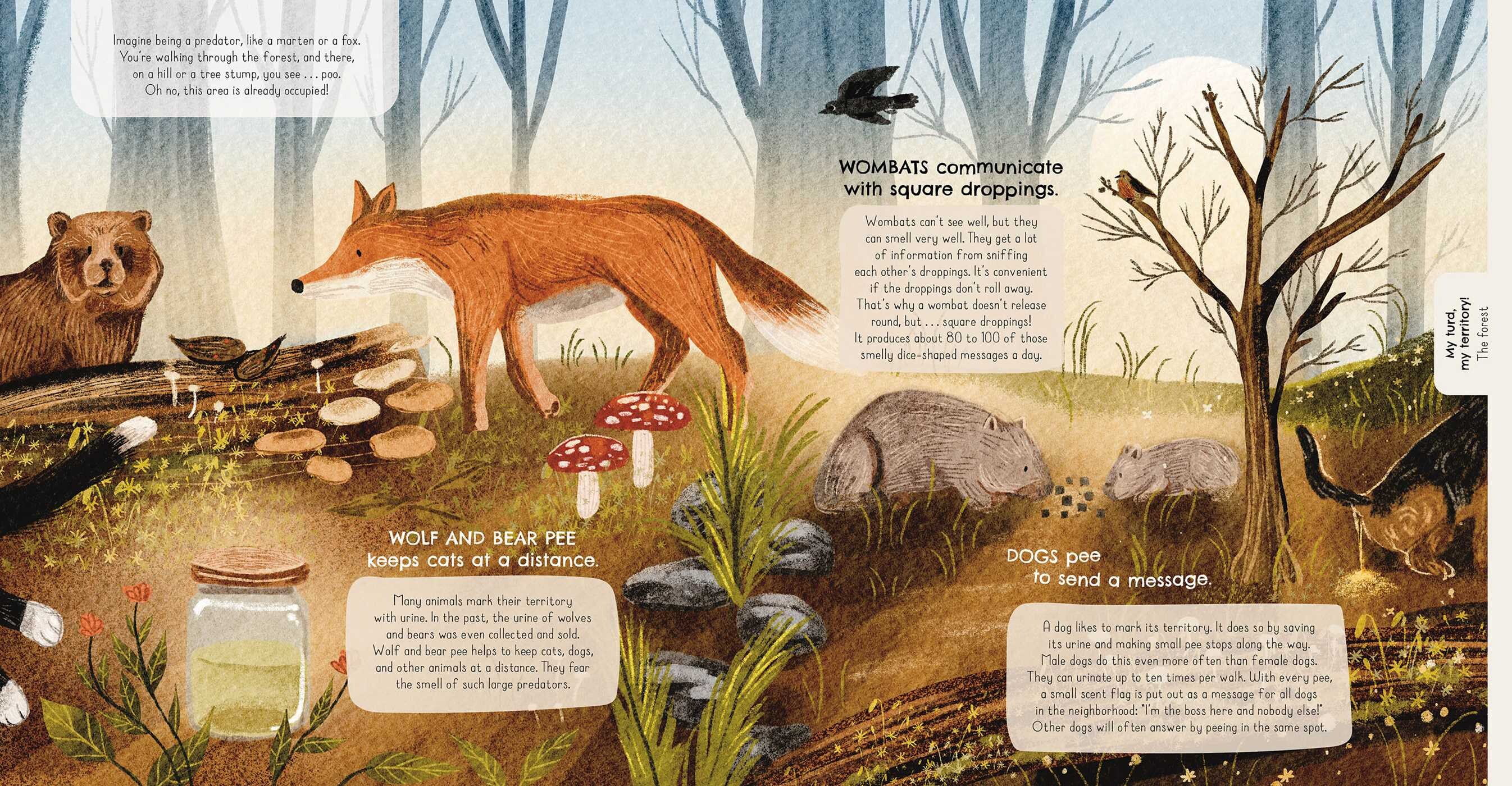 Animals and Their Toilet Rituals