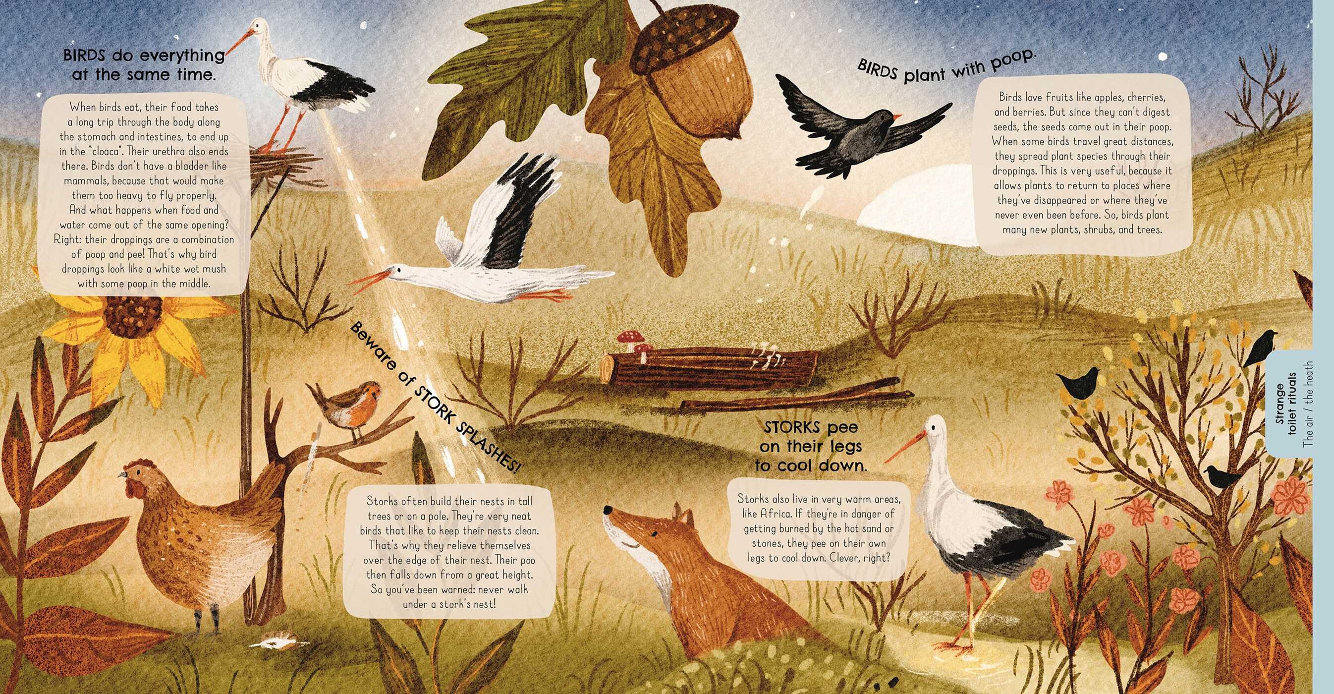 Animals and Their Toilet Rituals