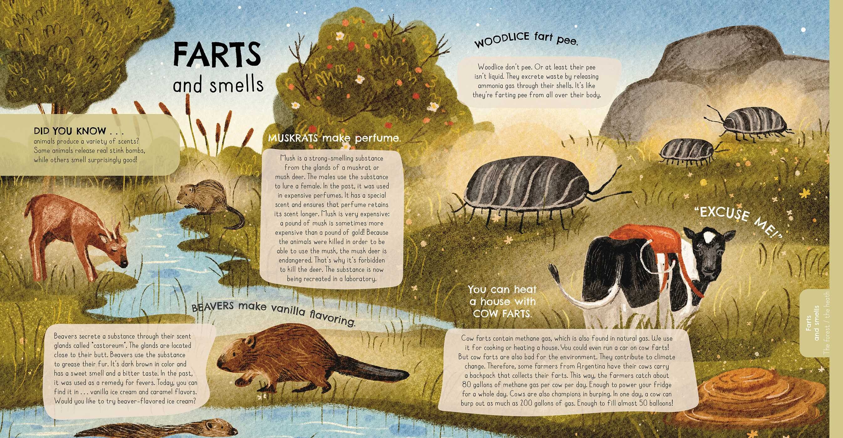 Animals and Their Toilet Rituals