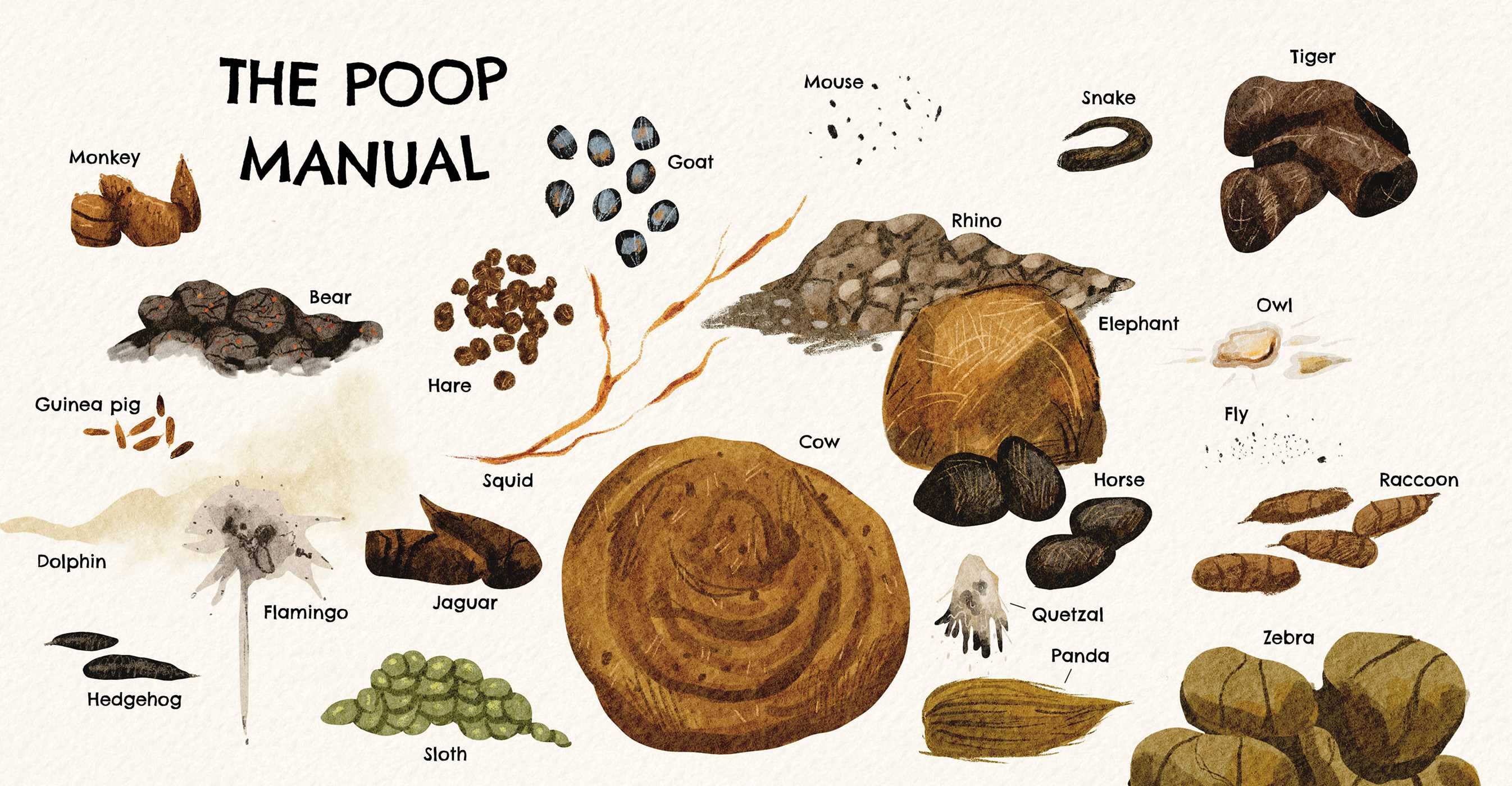 Animals and Their Toilet Rituals