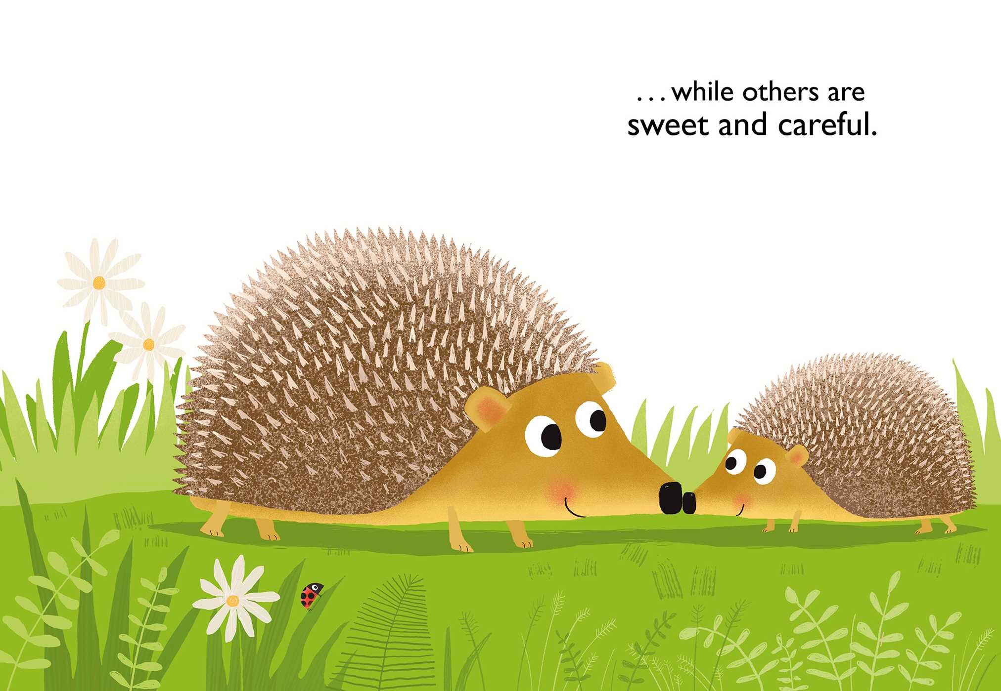 Big Cuddle Book