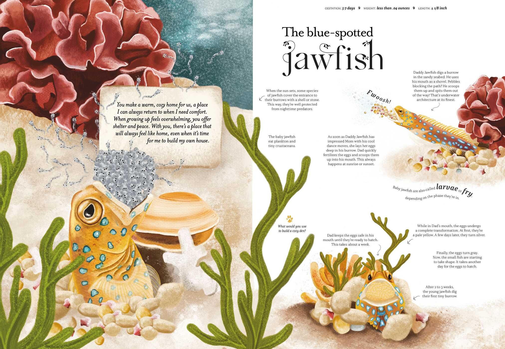 Wild about Dad