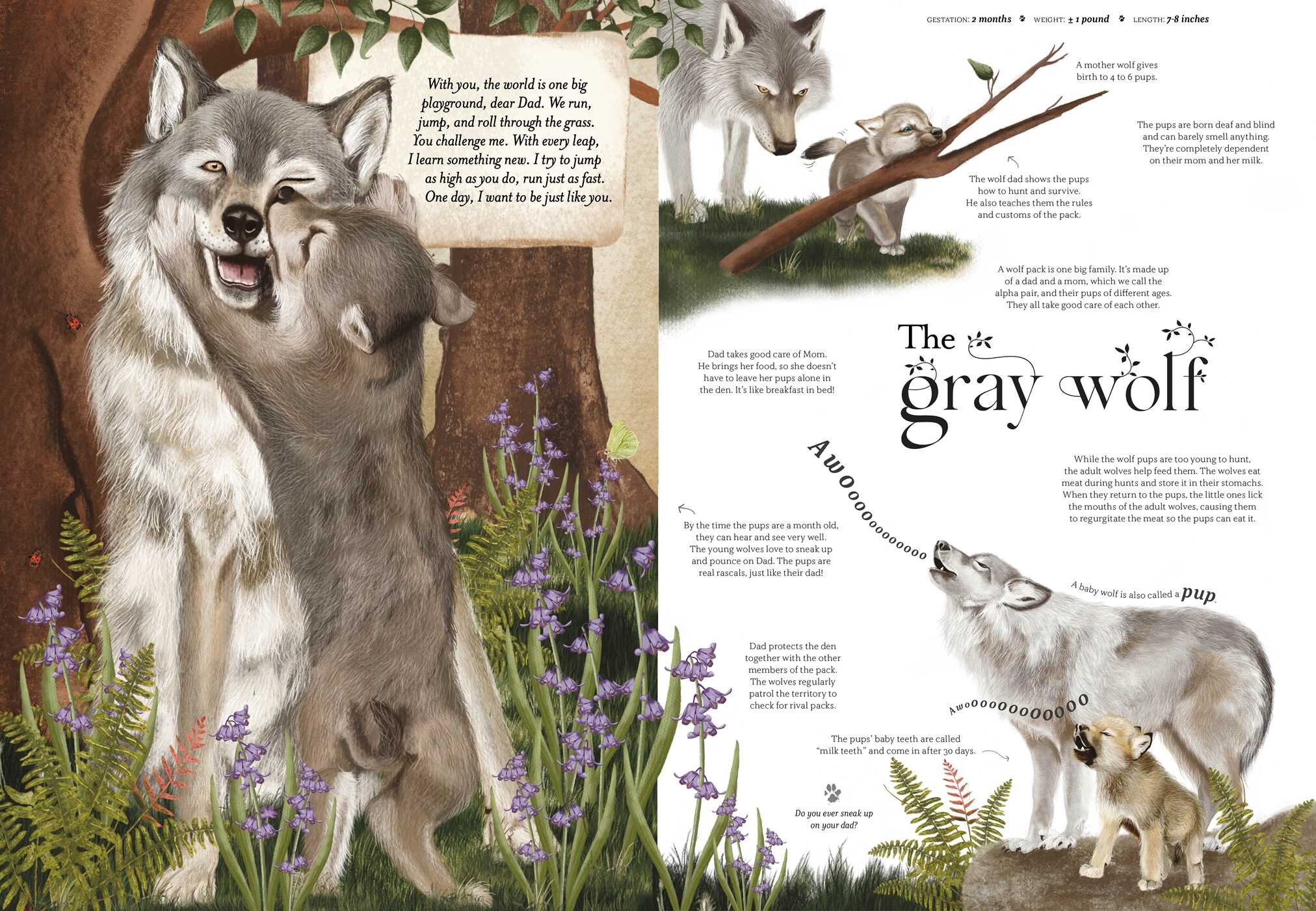 Wild about Dad