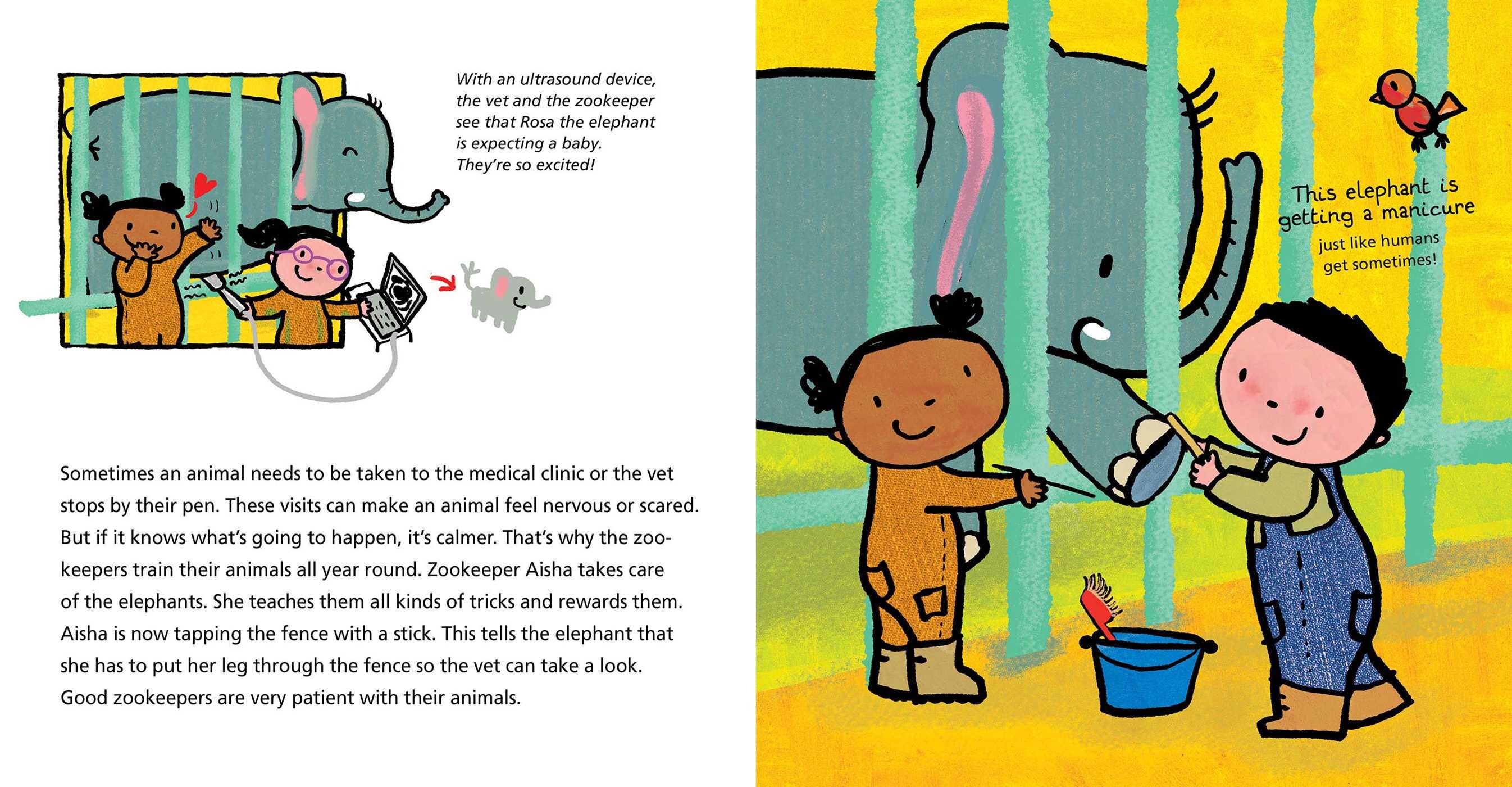 Zookeepers and What They Do