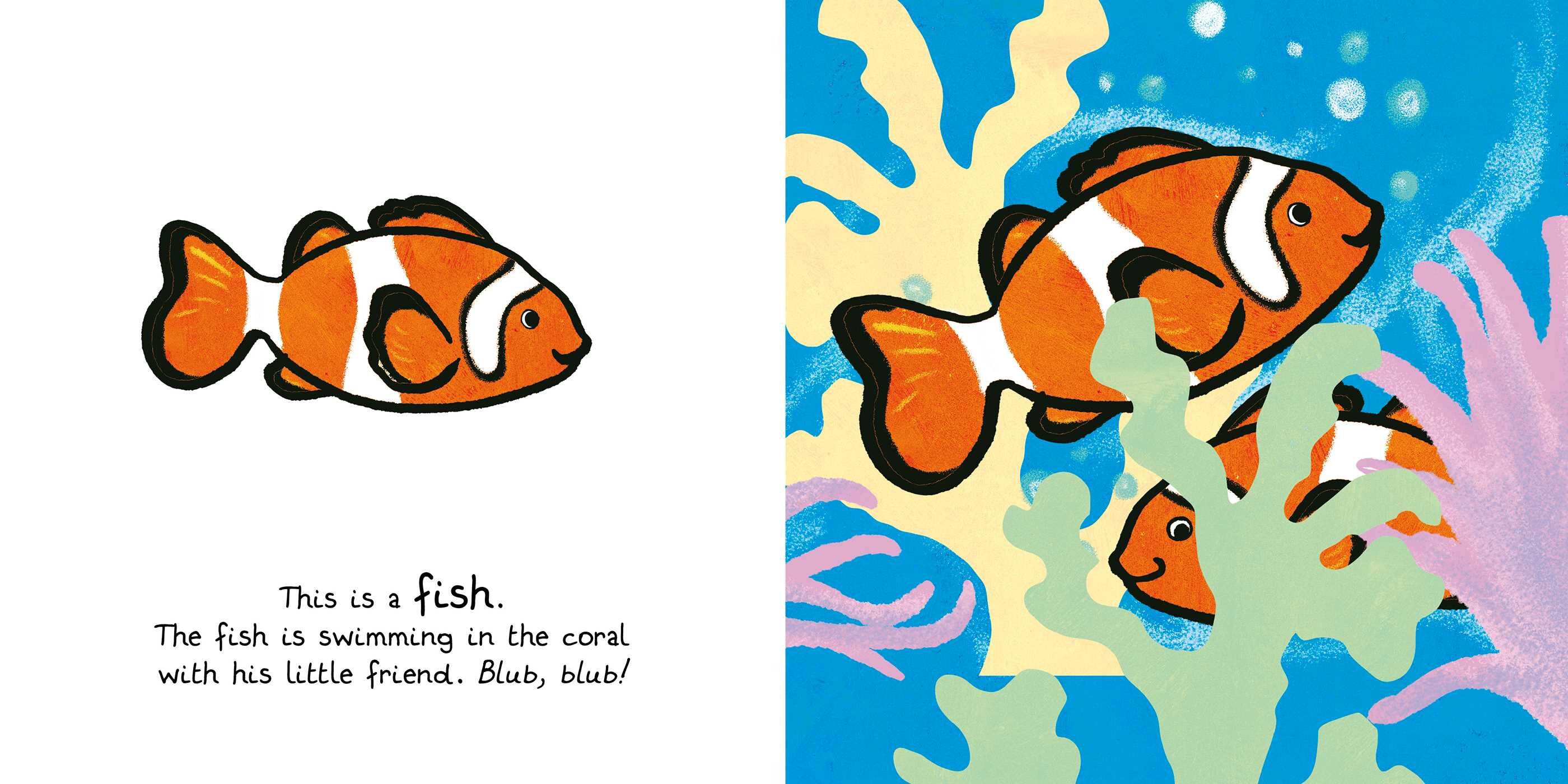 Ocean Animals