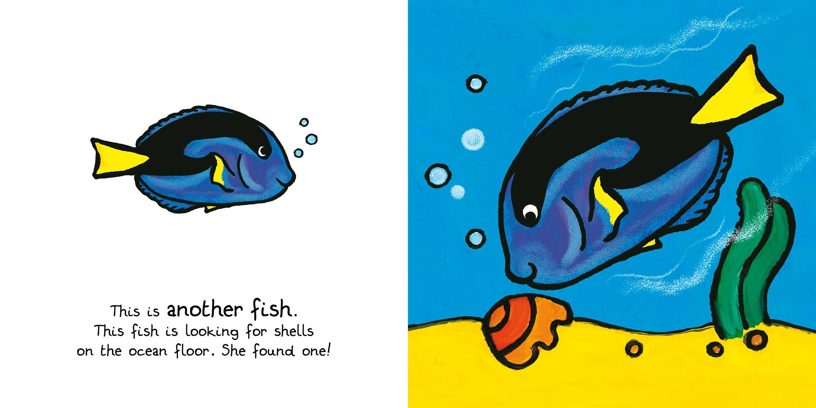 Ocean Animals