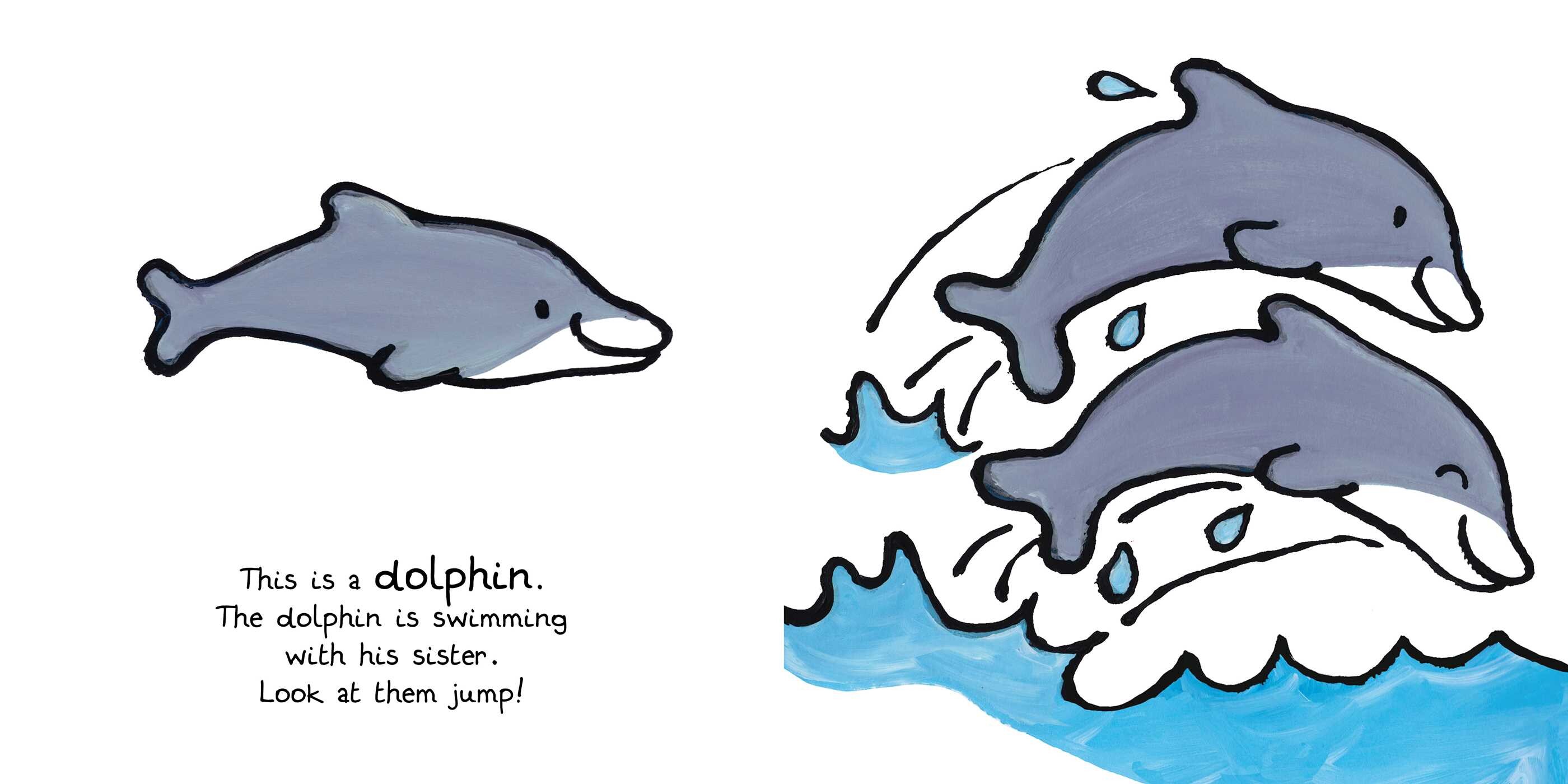 Ocean Animals