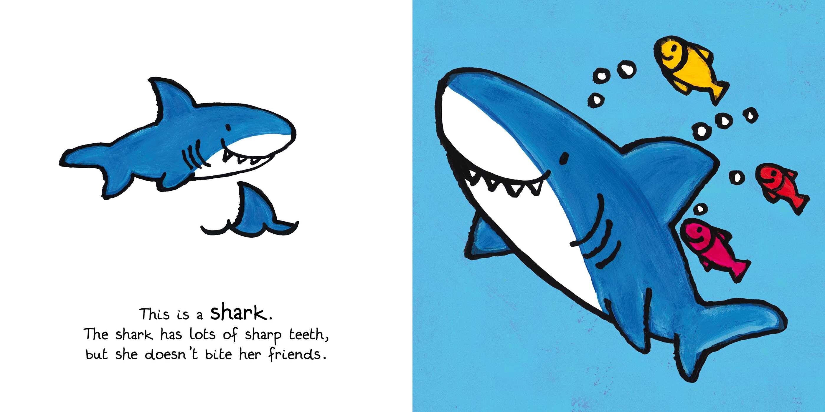 Ocean Animals