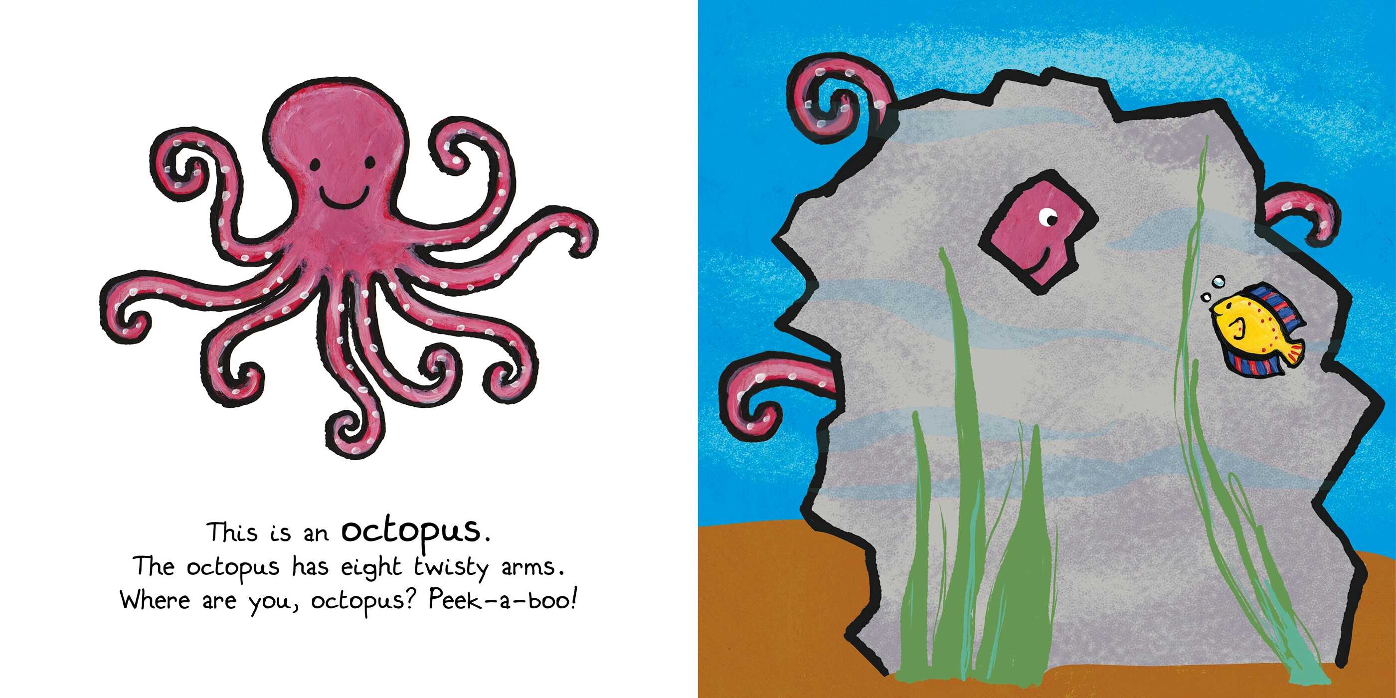 Ocean Animals